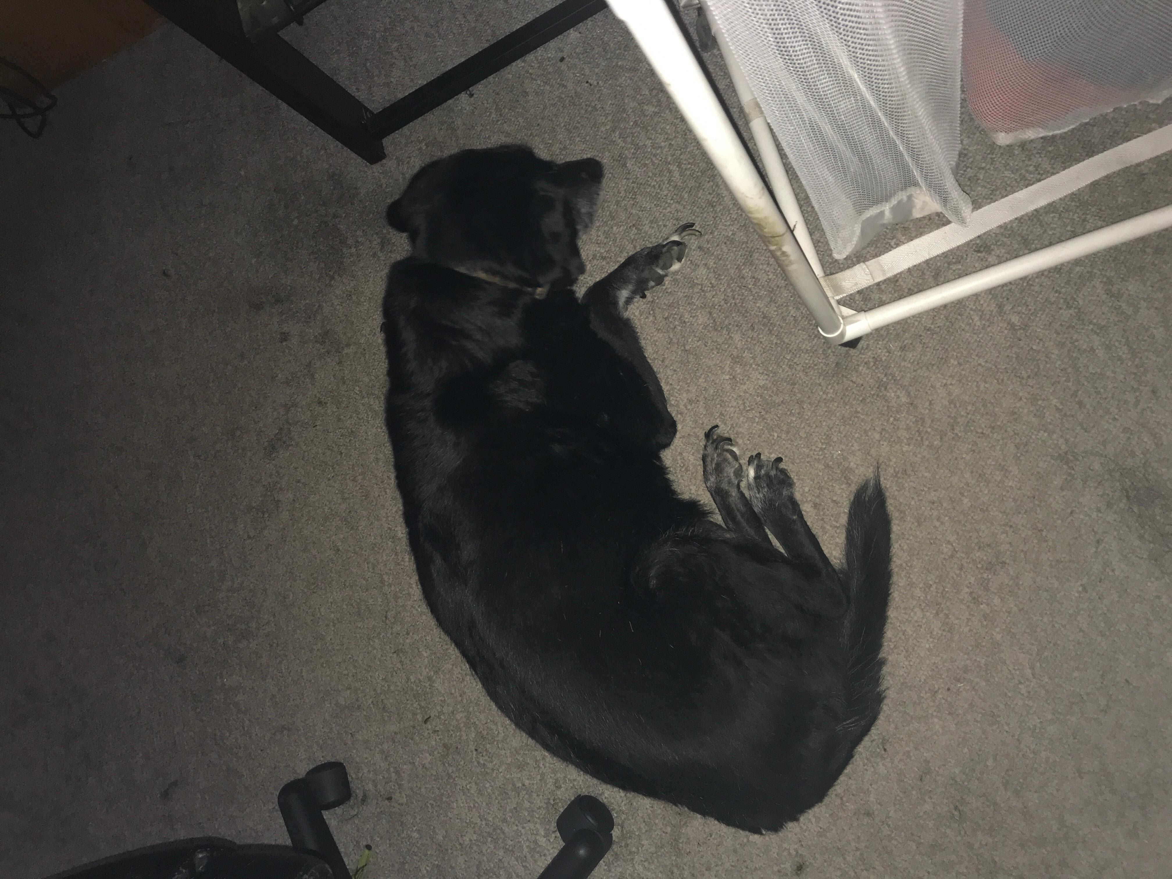 Question details sensitive content