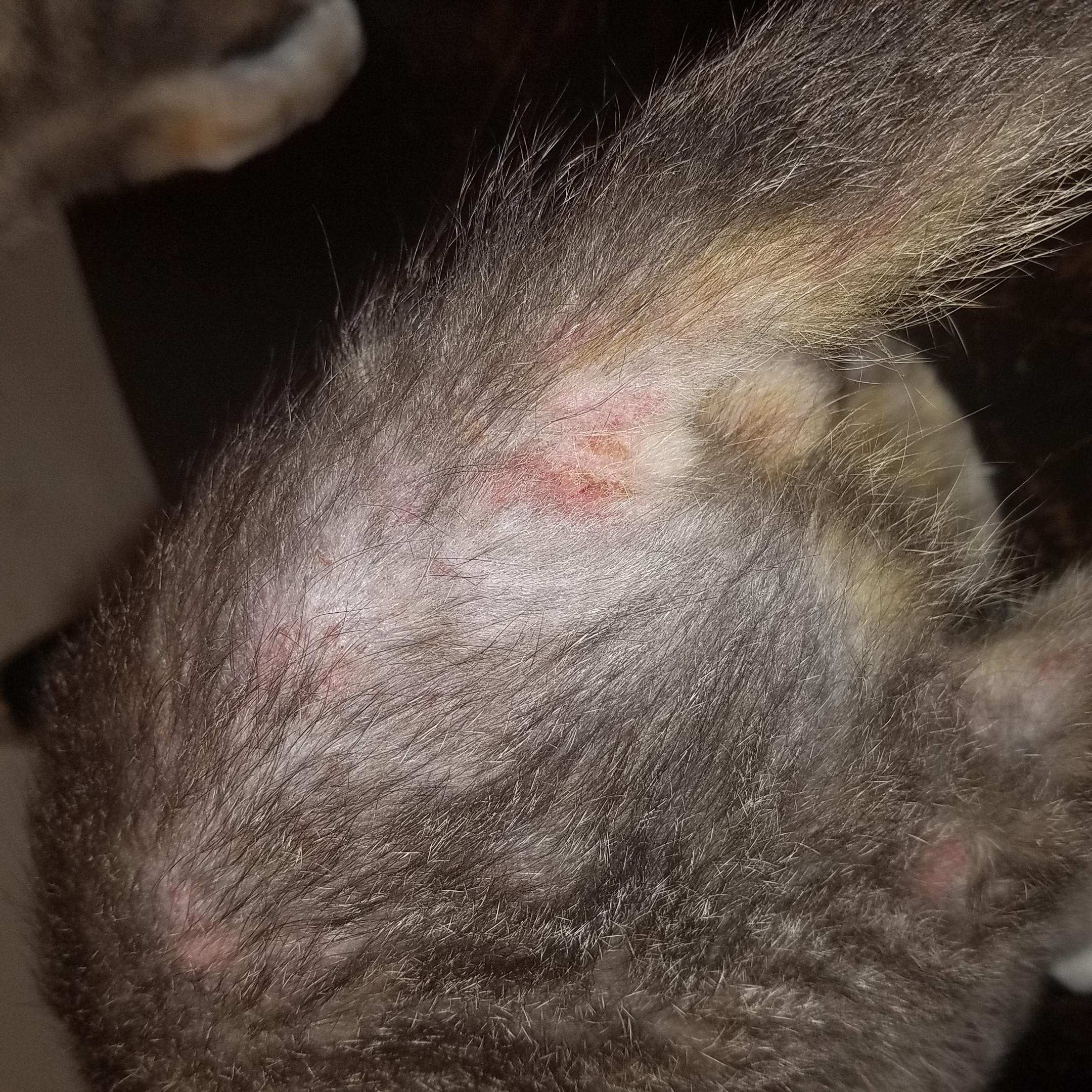 Question details sensitive content