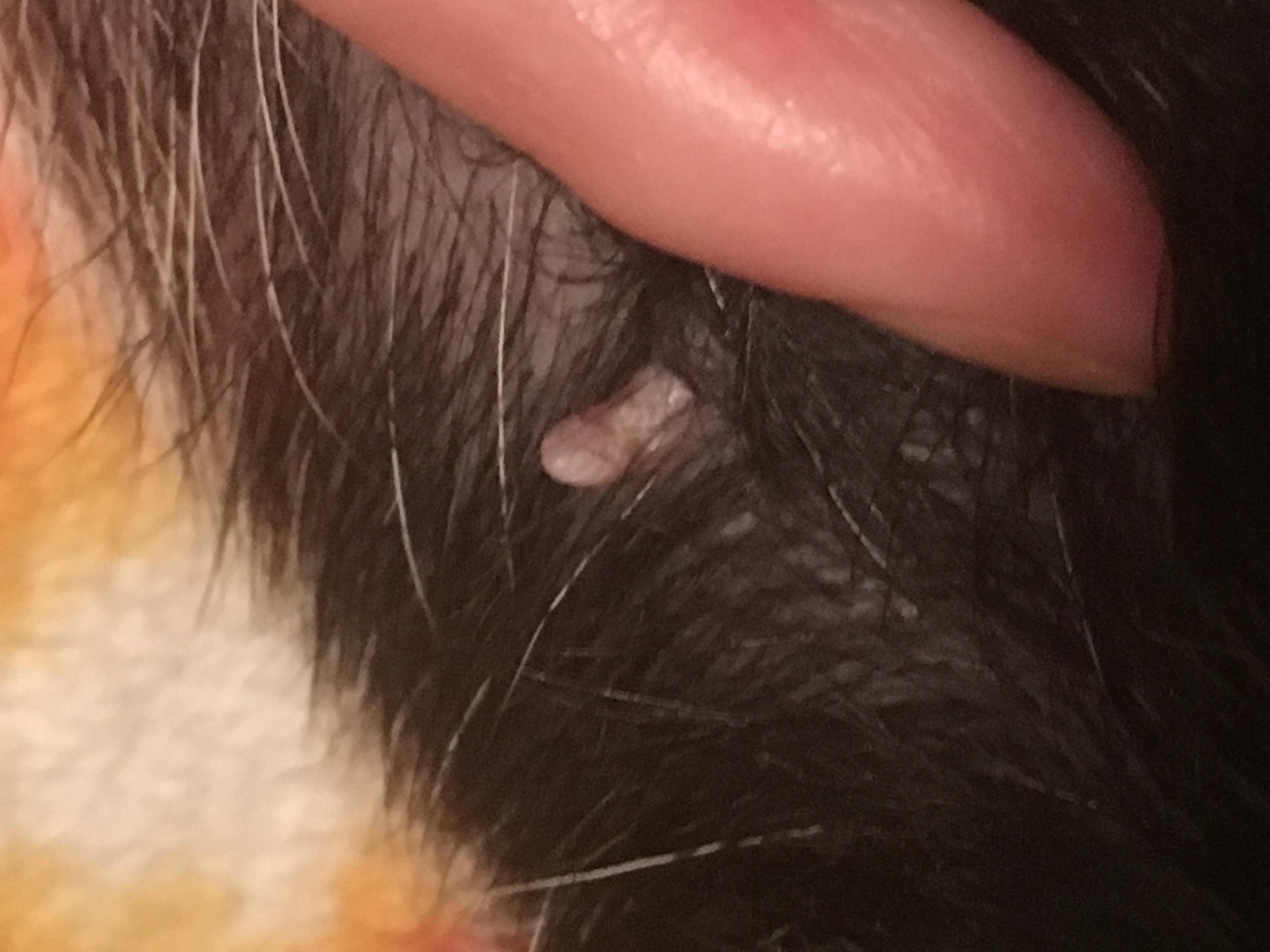 Question details sensitive content