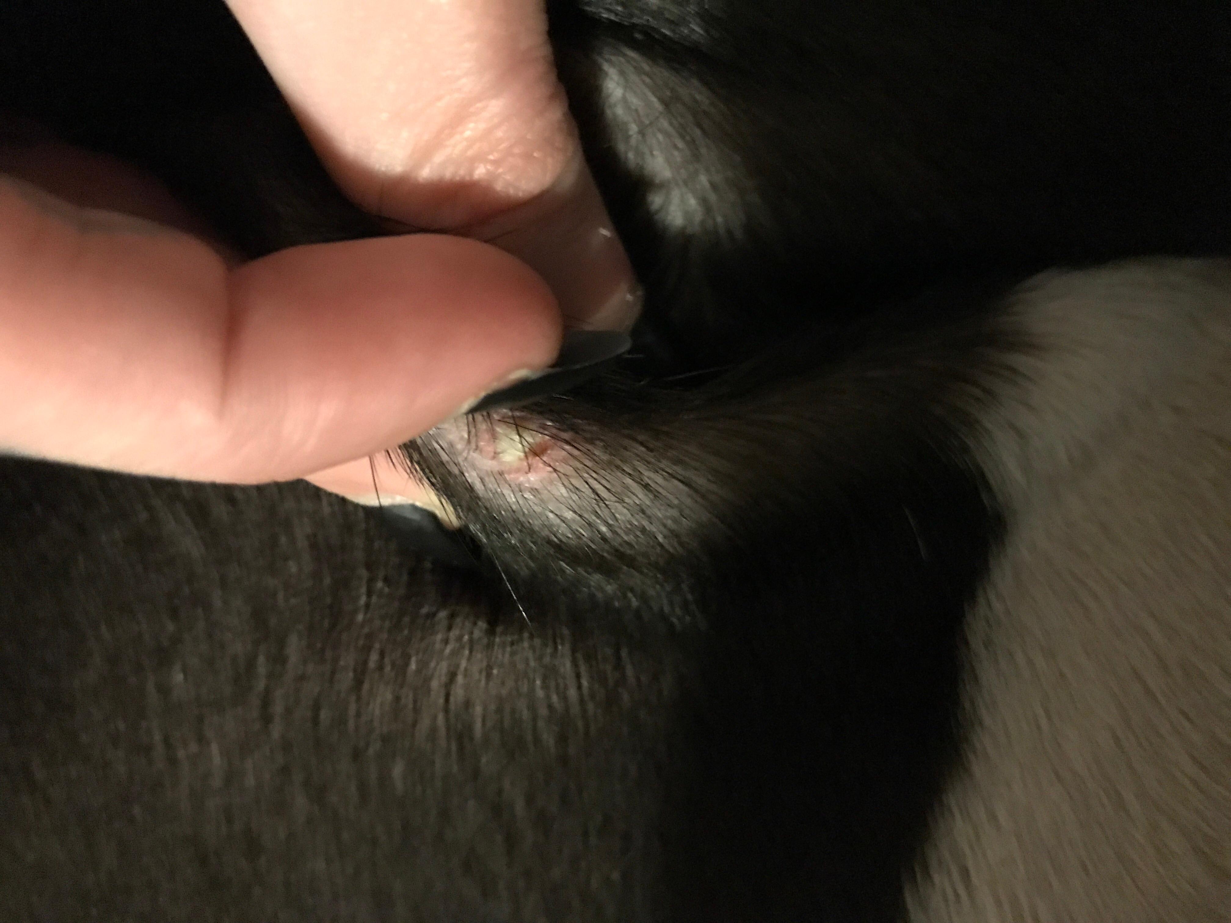 Question details sensitive content