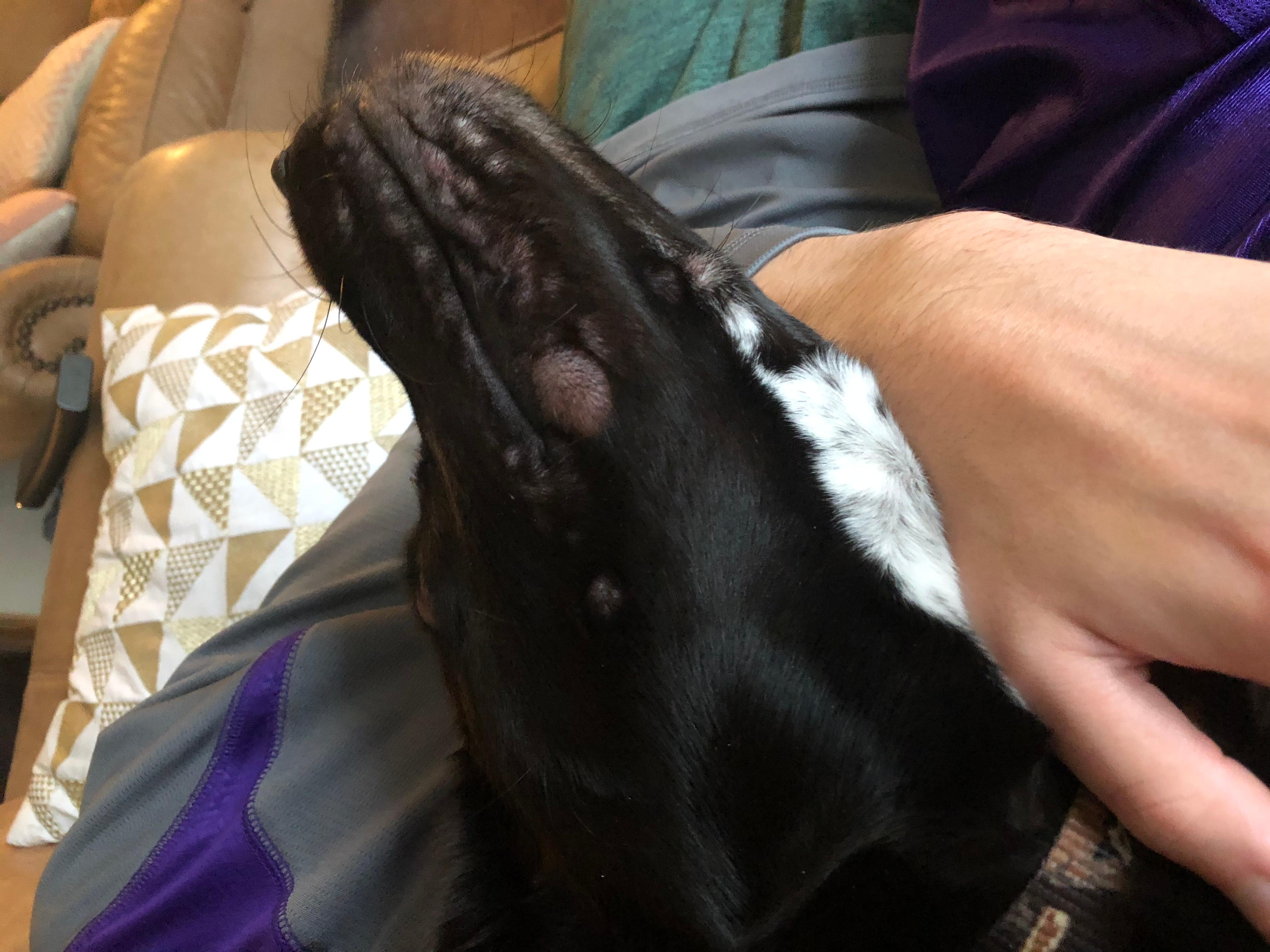 Question details sensitive content