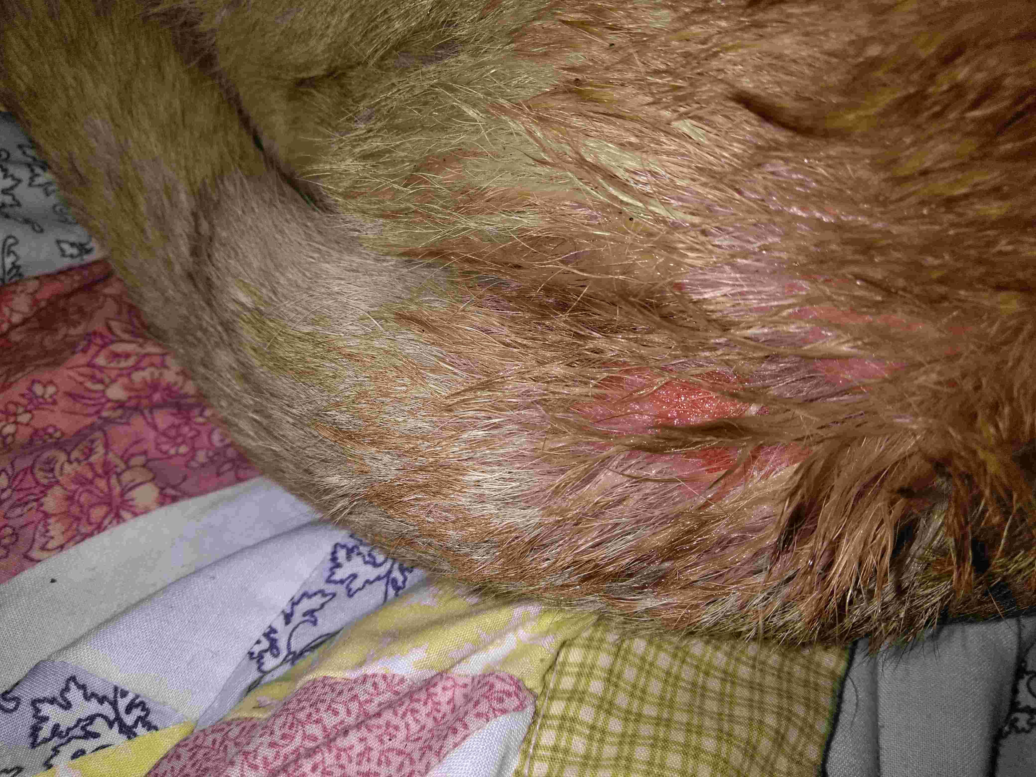 Question details sensitive content