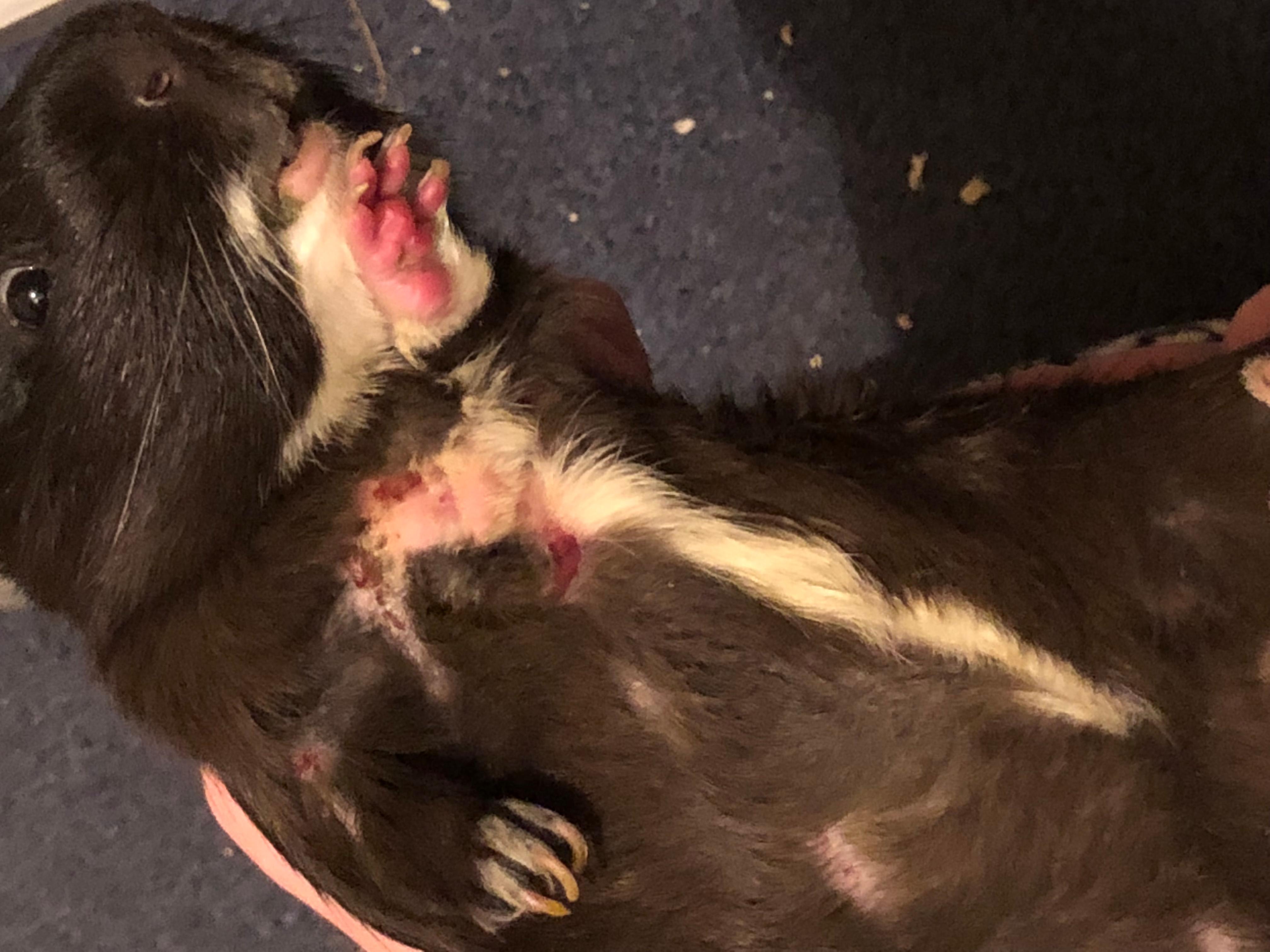 Question details sensitive content