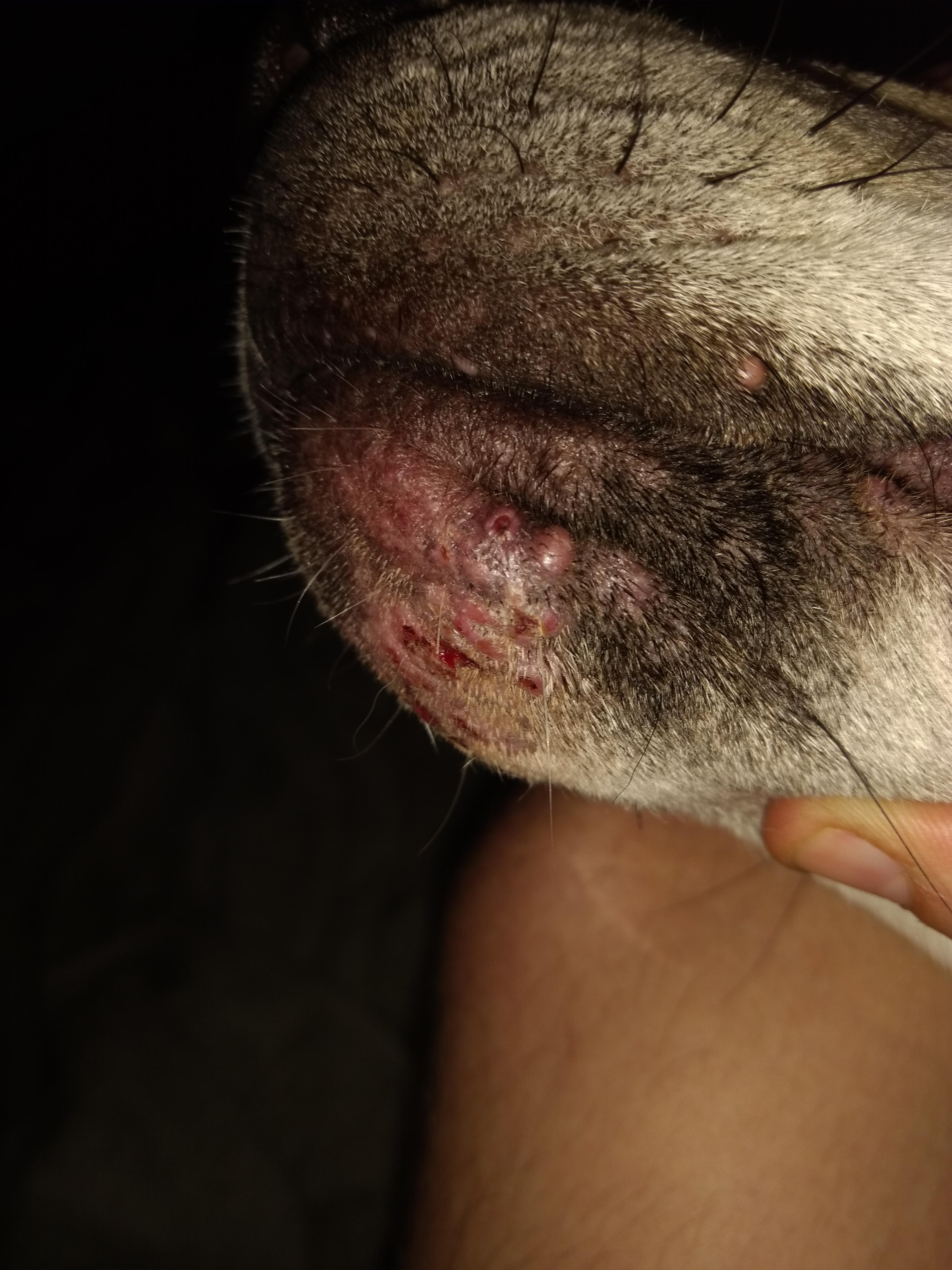 Question details sensitive content