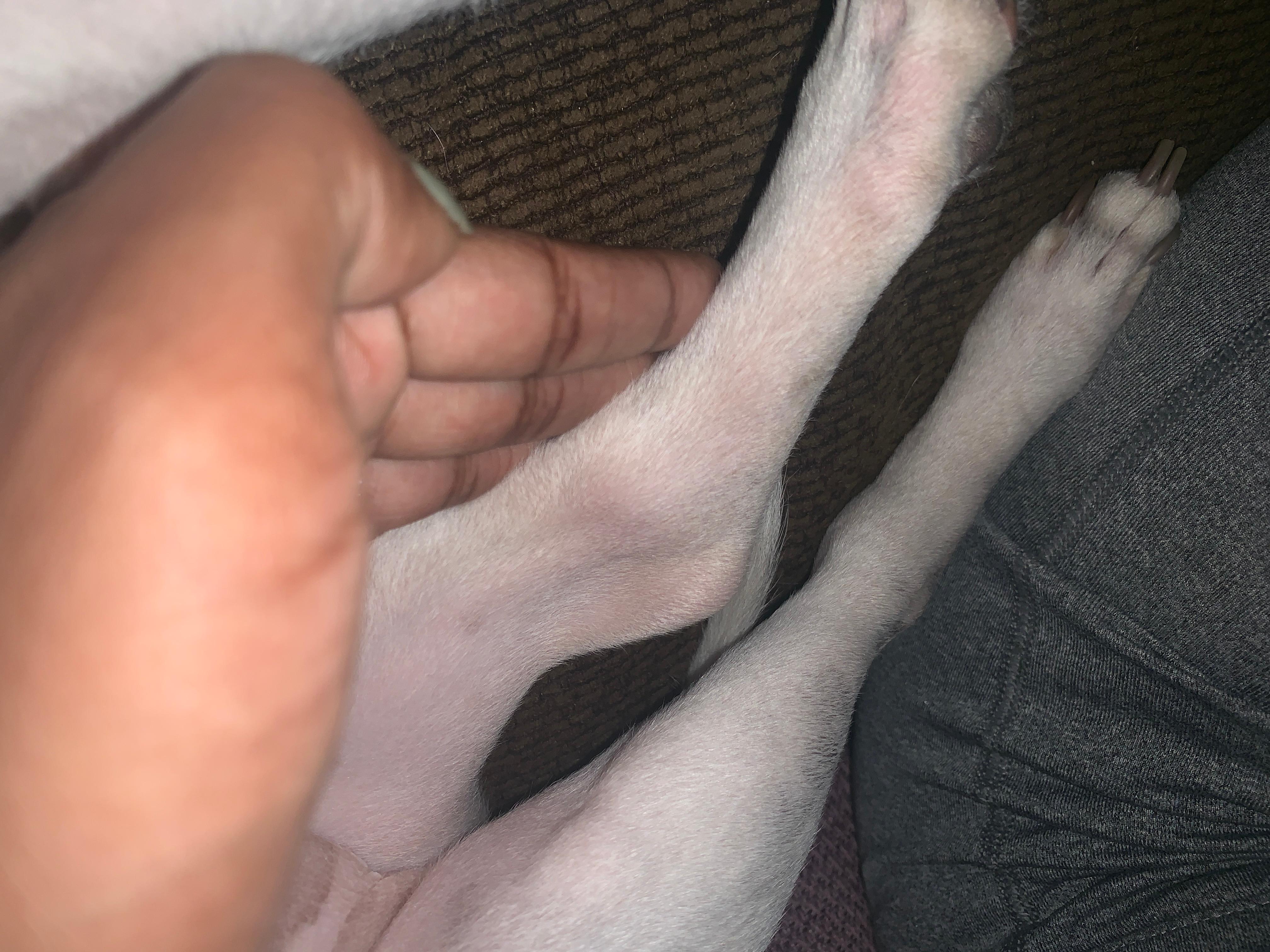 Question details sensitive content