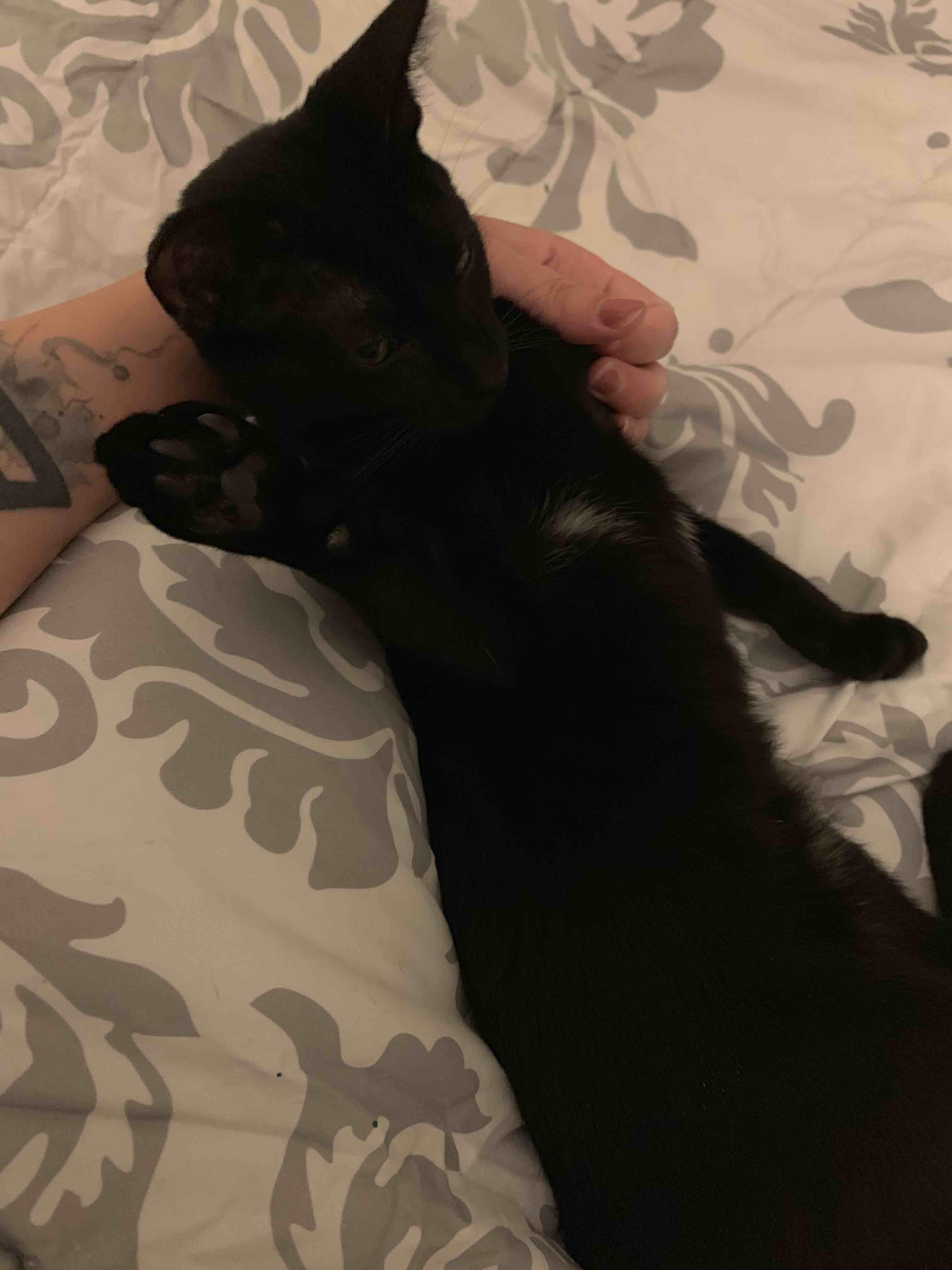 Question details sensitive content