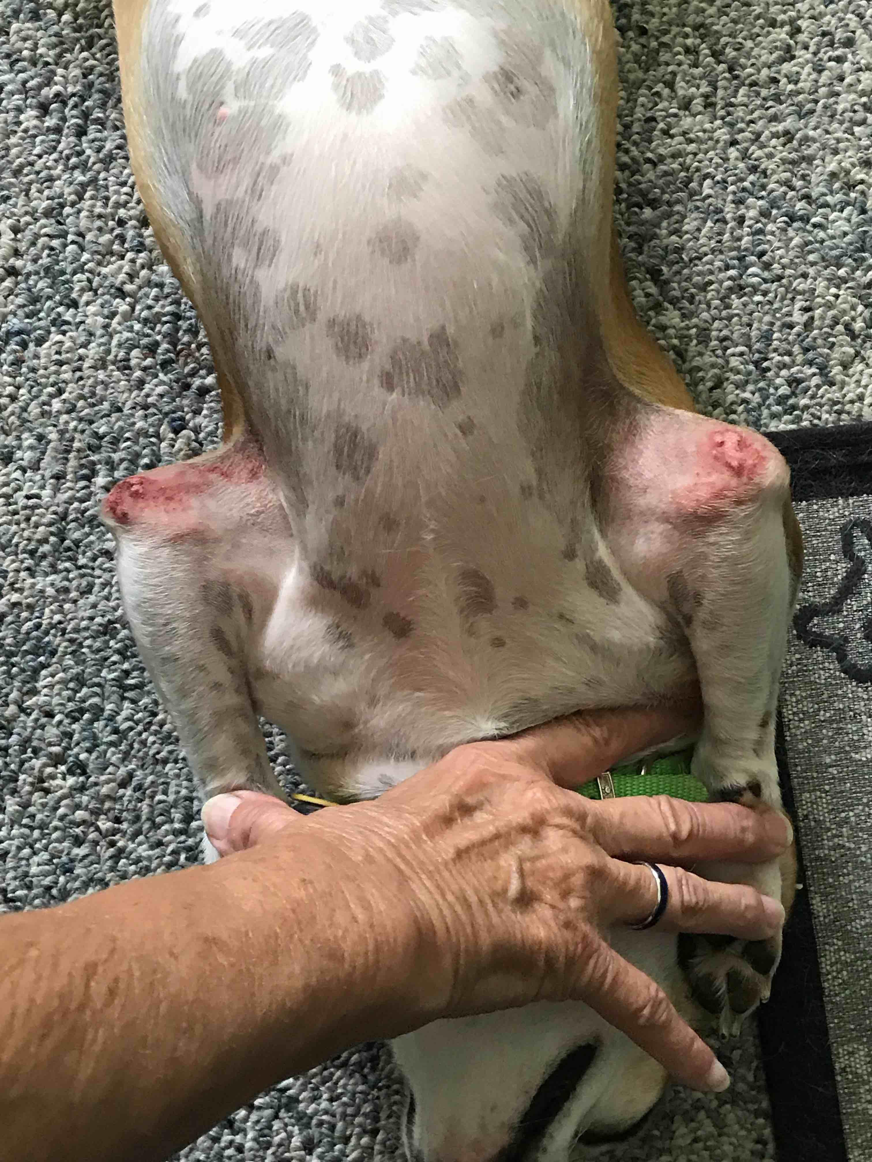 Question details sensitive content