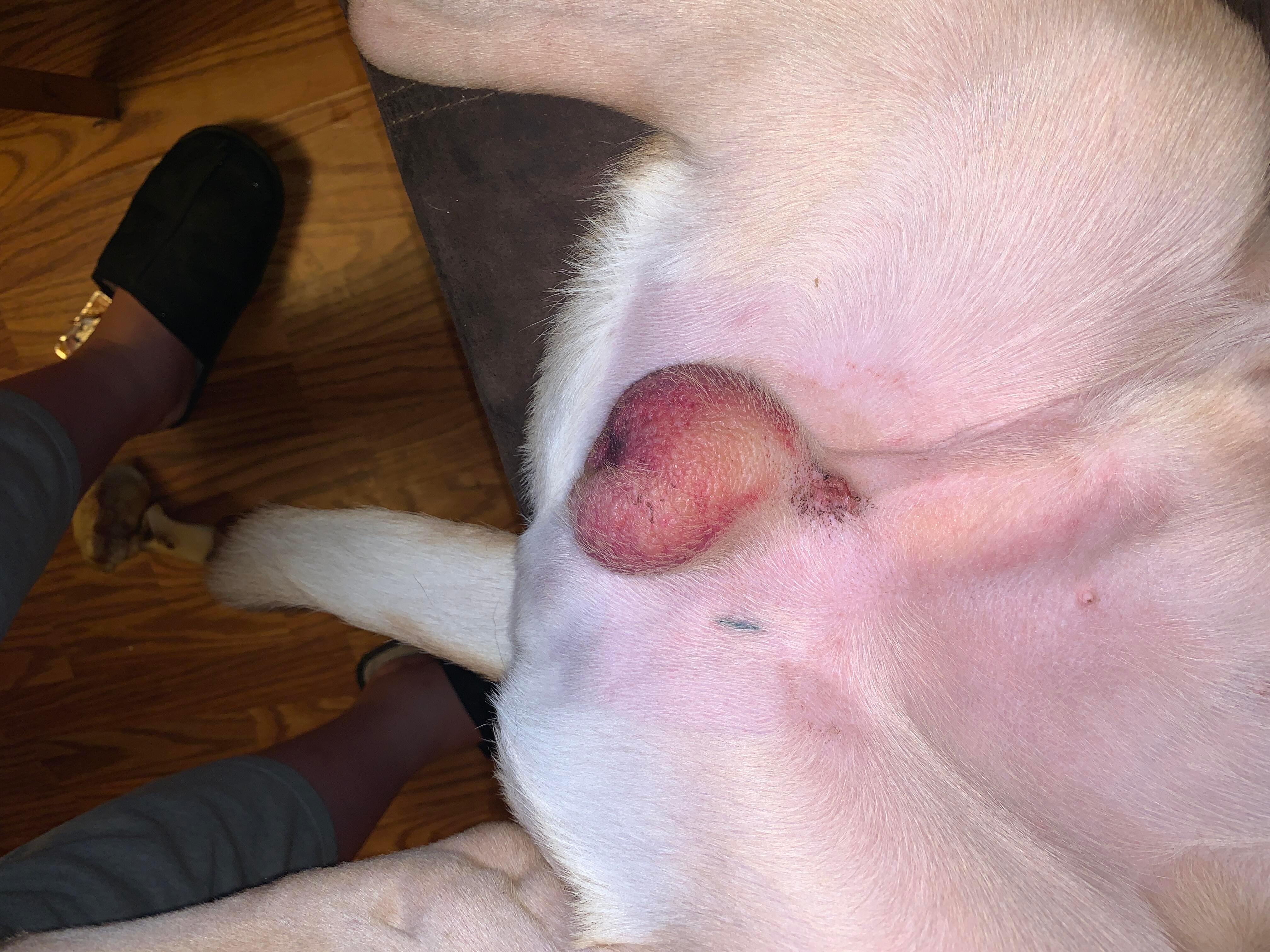 Question details sensitive content