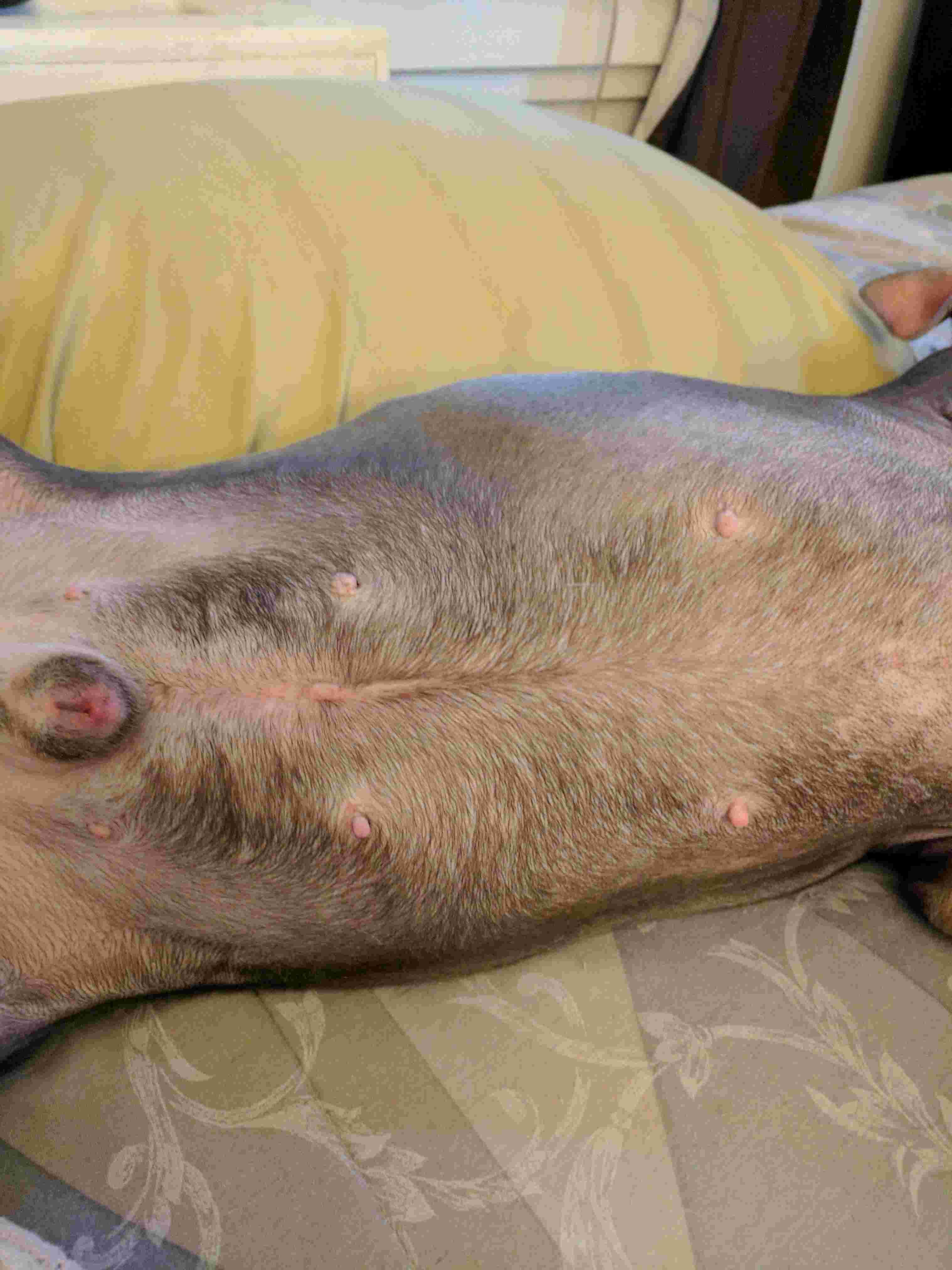 Question details sensitive content