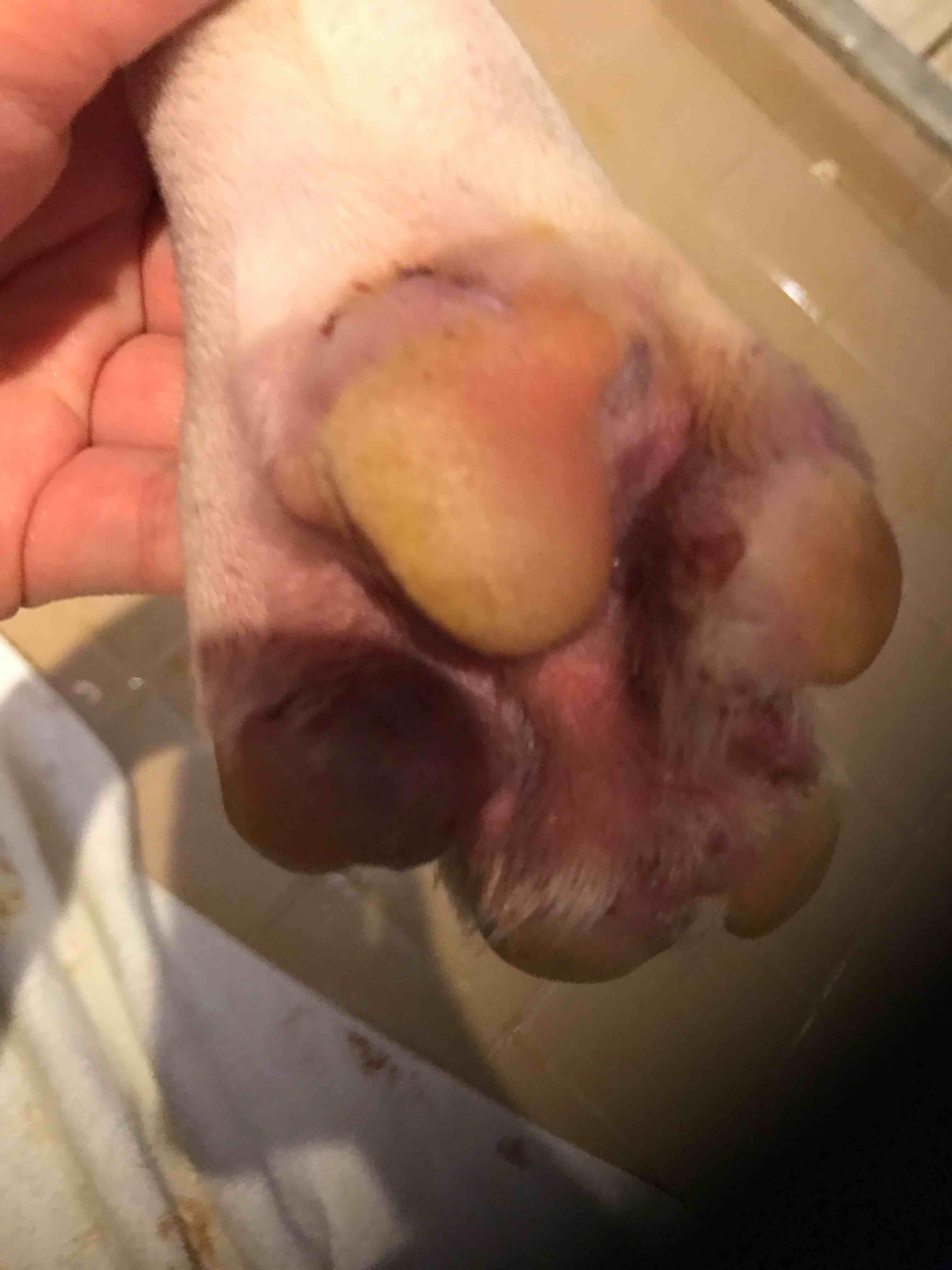 Question details sensitive content