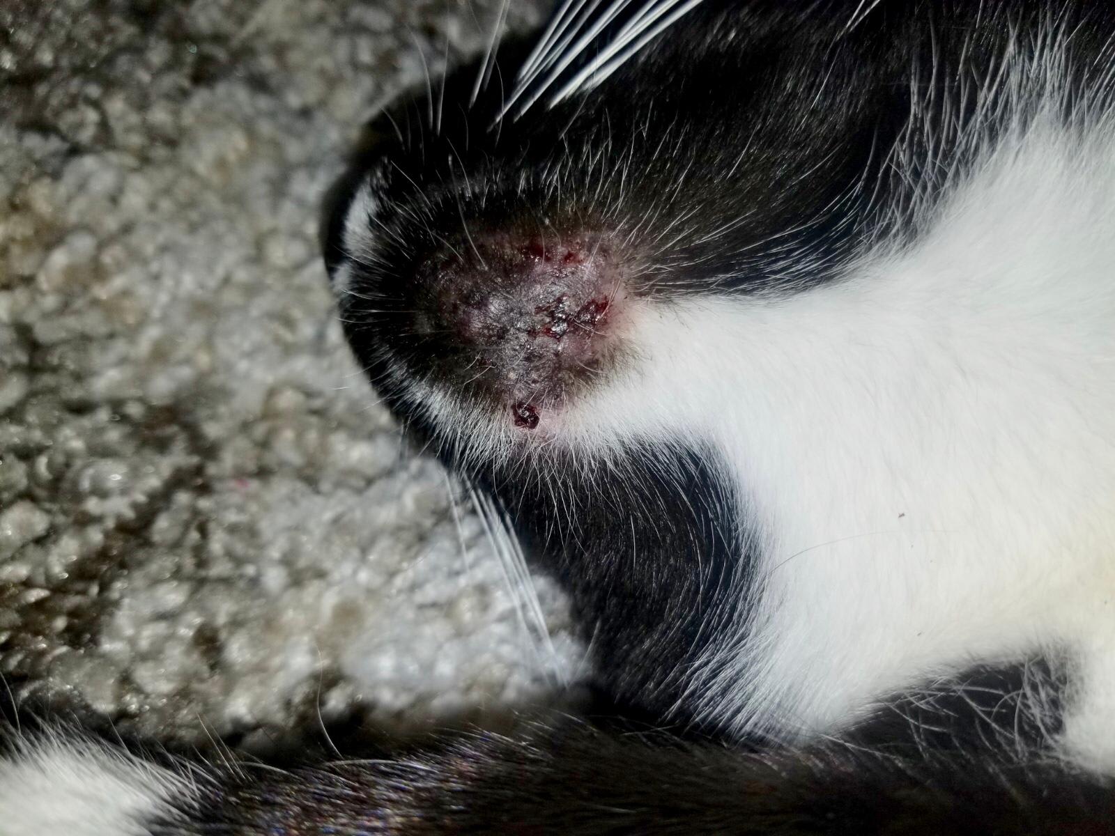 Question details sensitive content