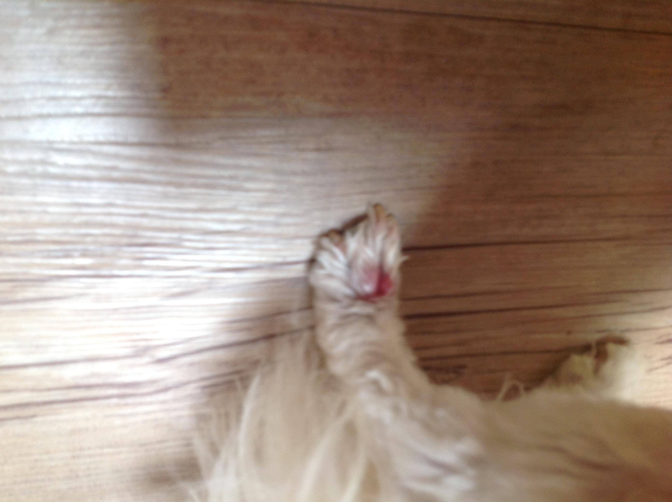 Question details sensitive content