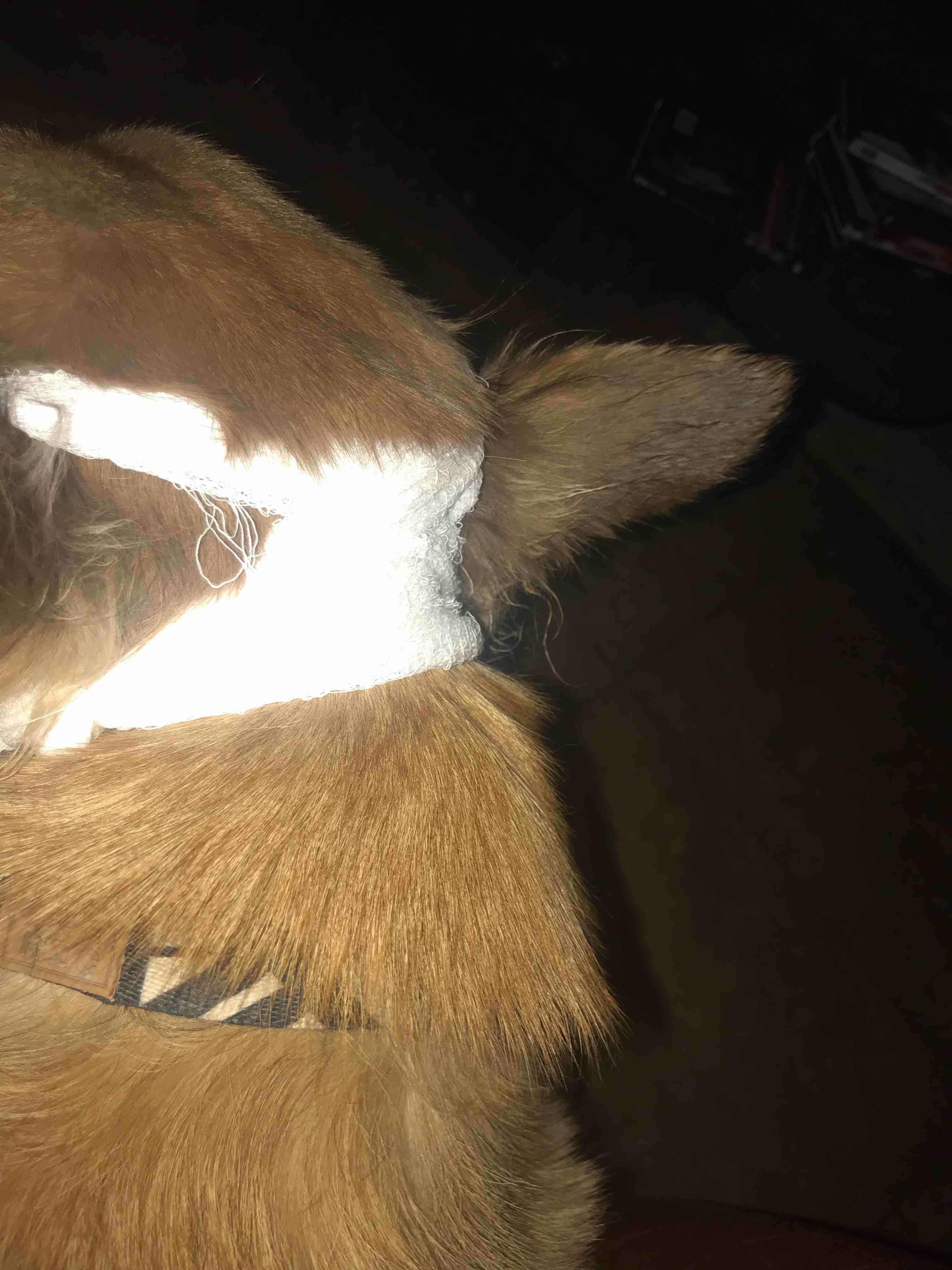 Question details sensitive content