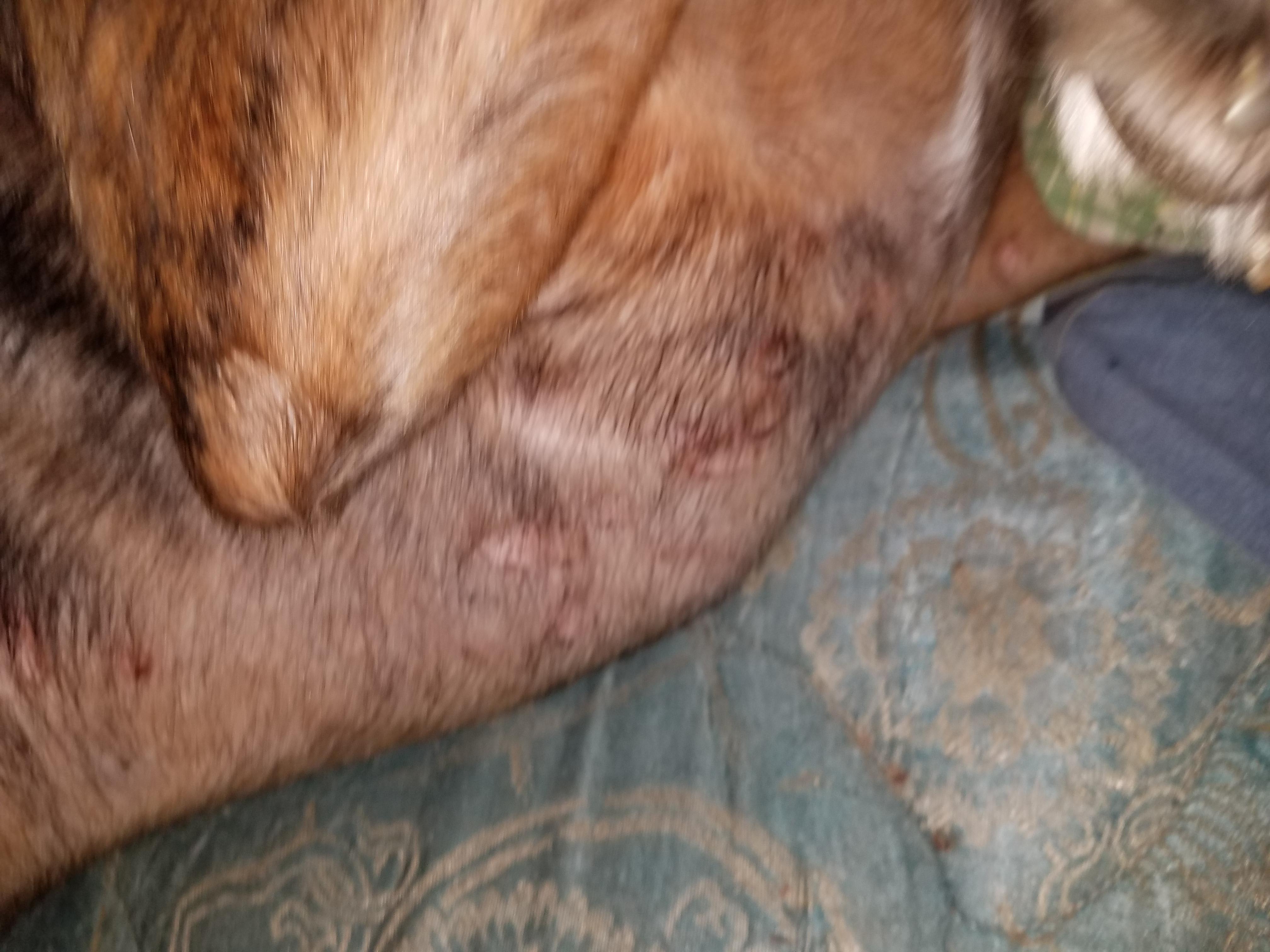 Question details sensitive content