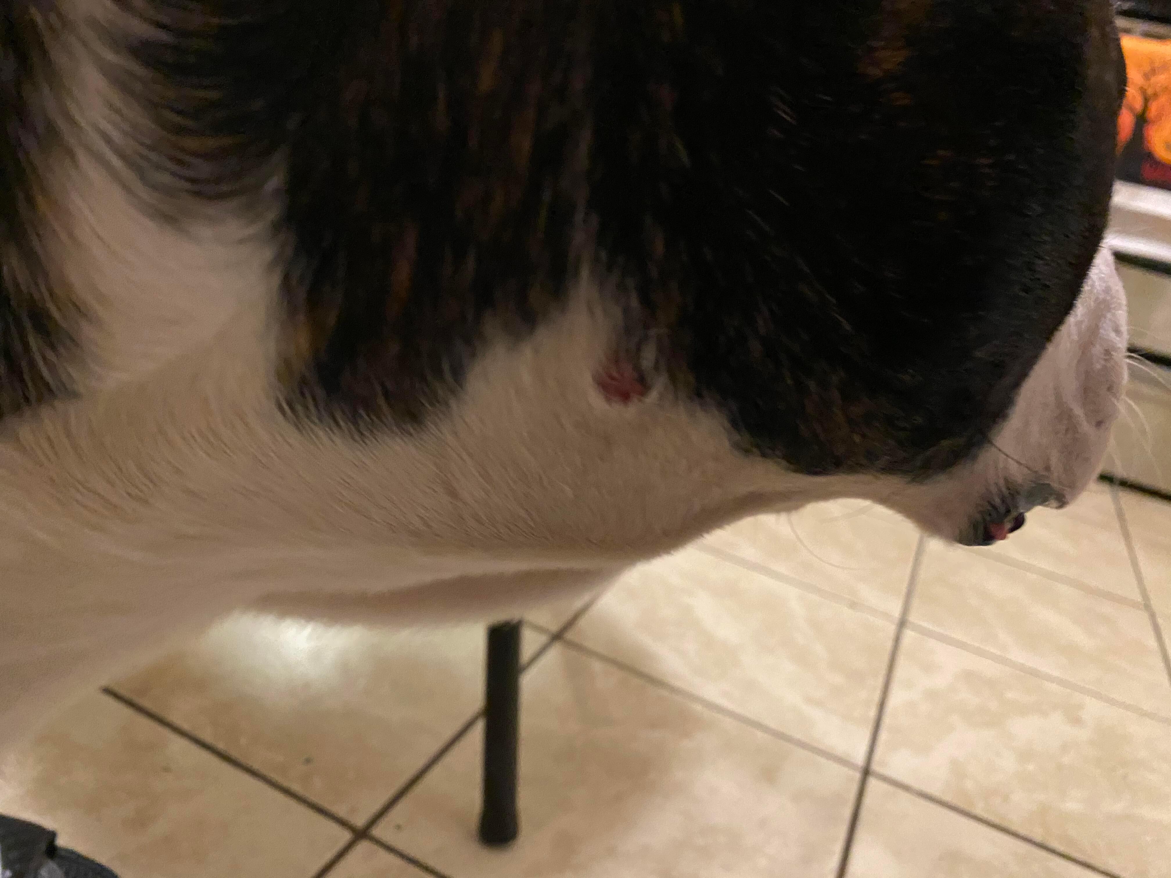 Question details sensitive content