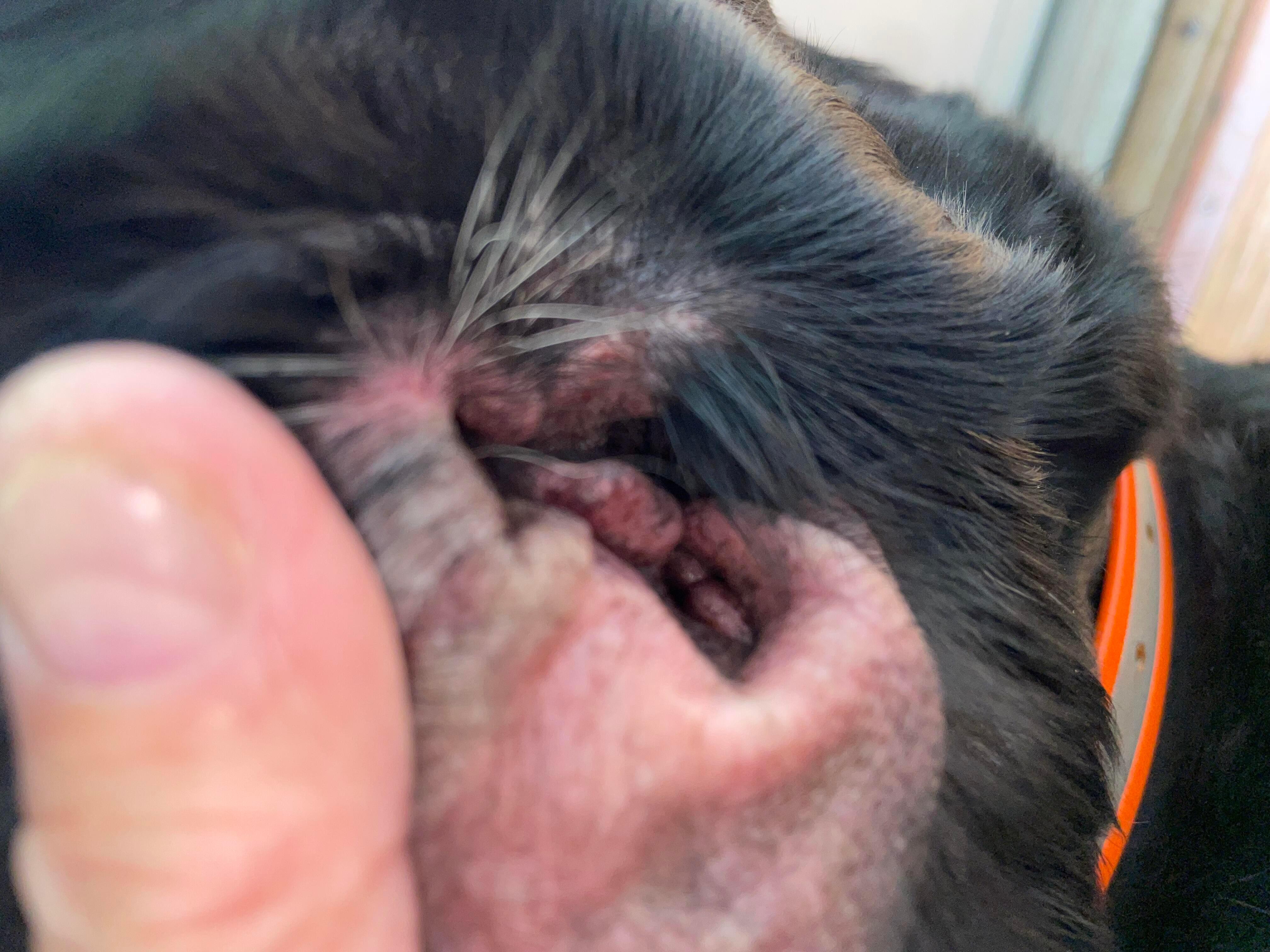 Question details sensitive content