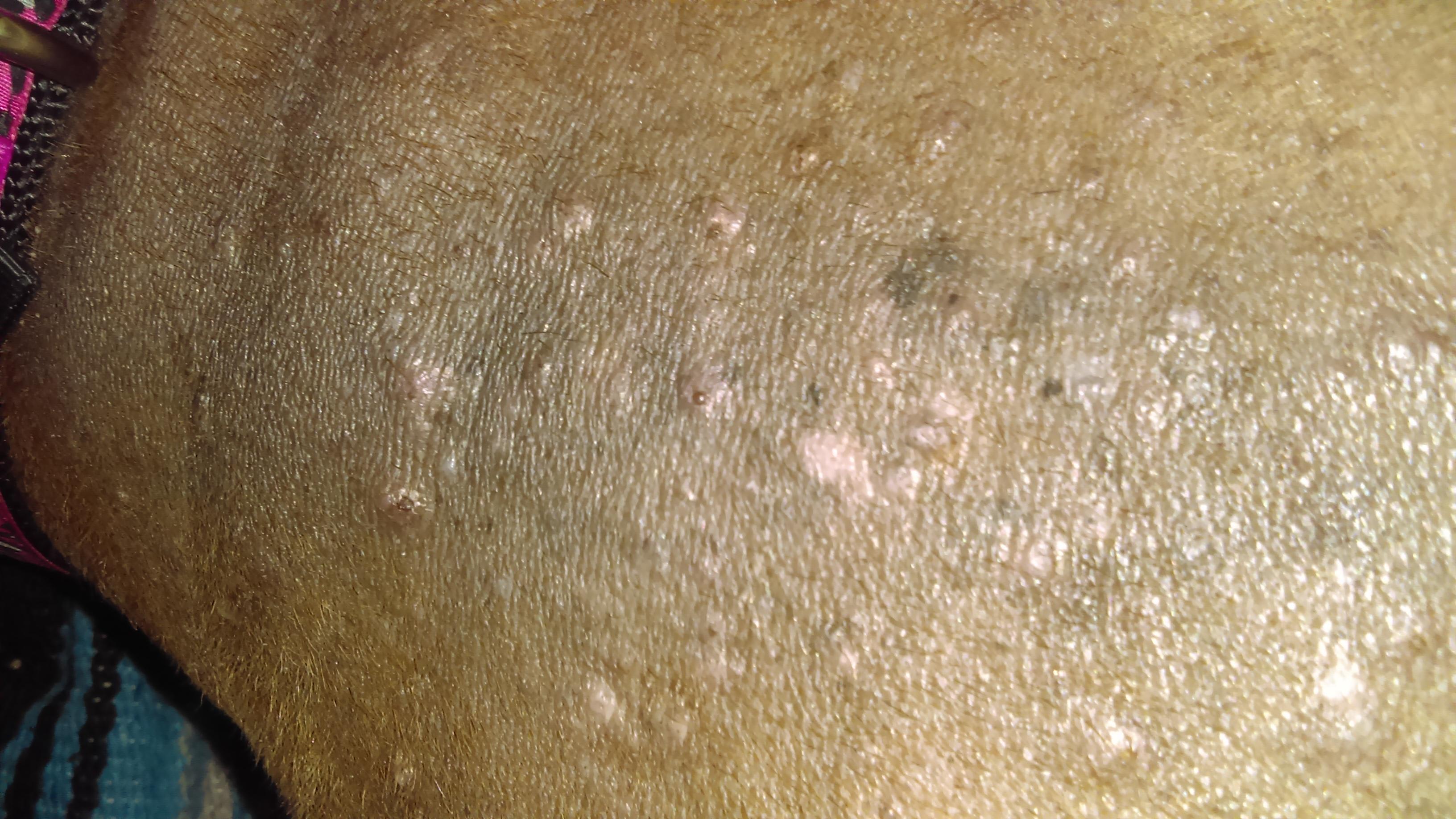 Question details sensitive content