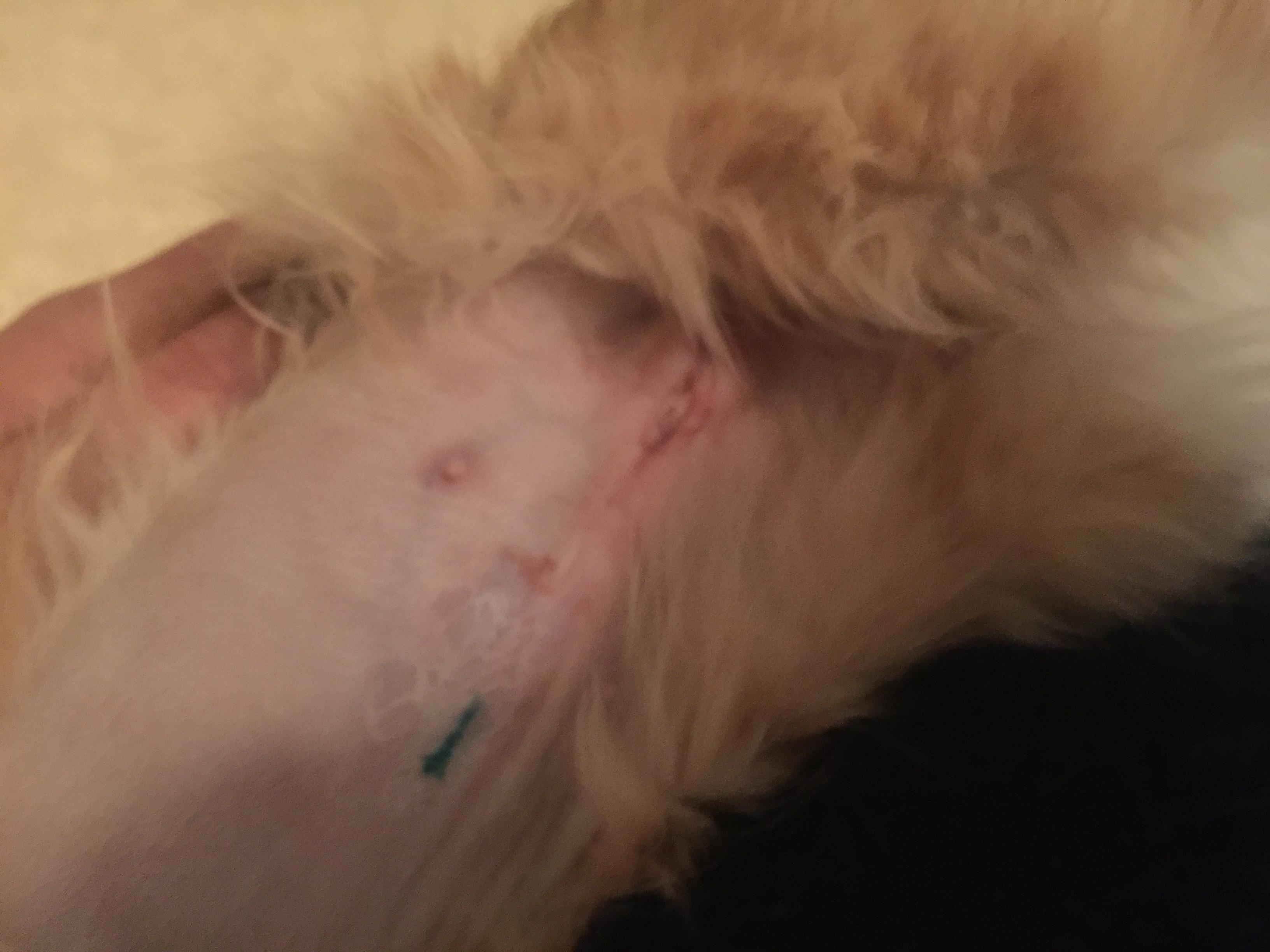 Question details sensitive content