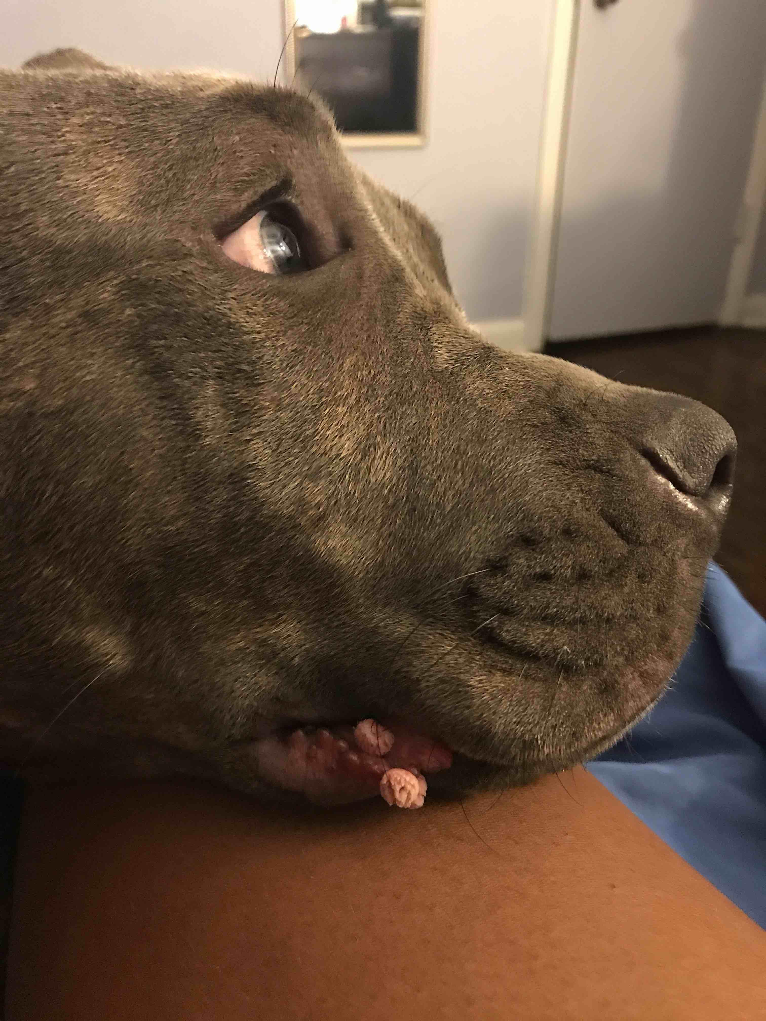 Question details sensitive content