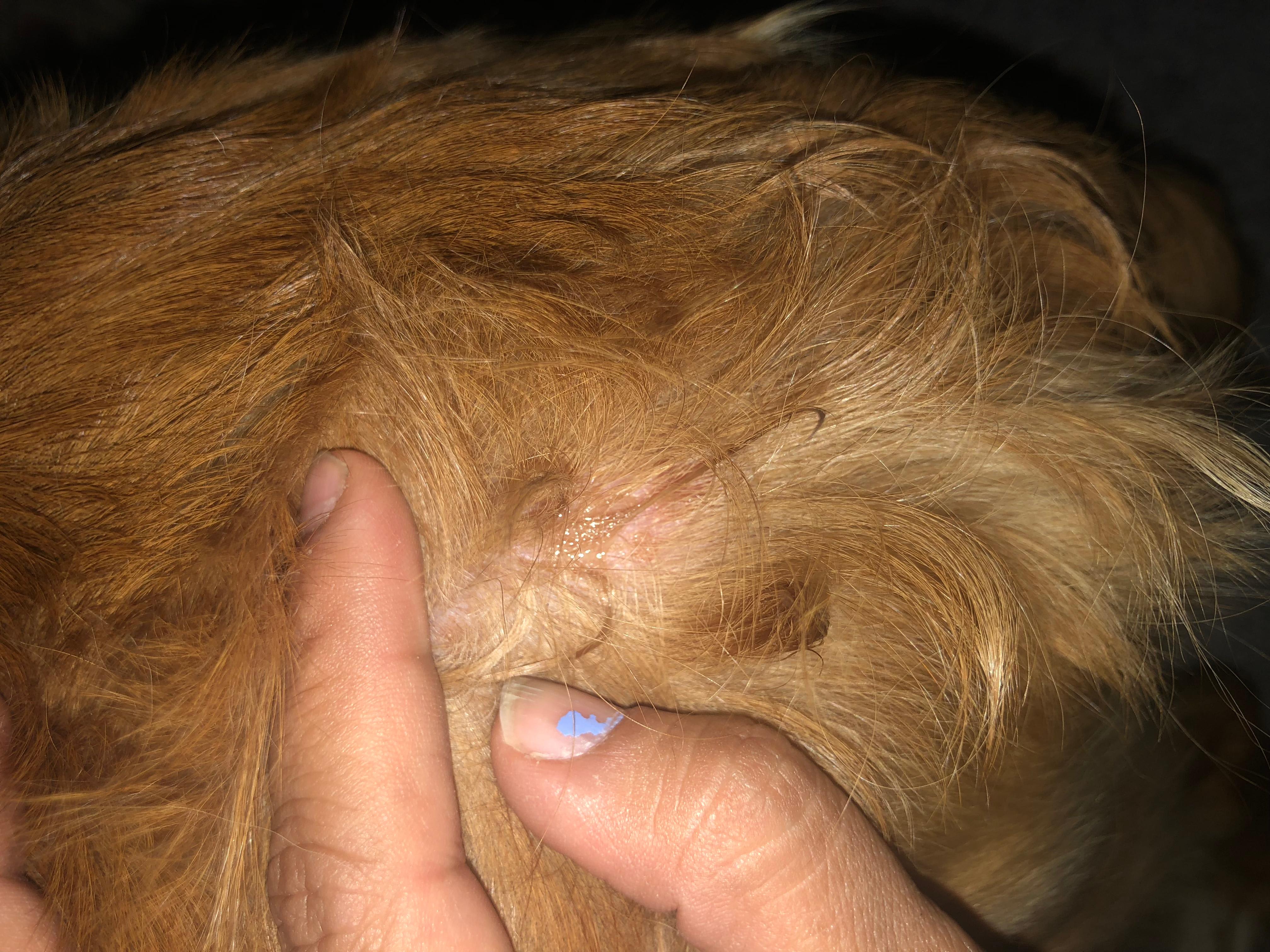 Question details sensitive content