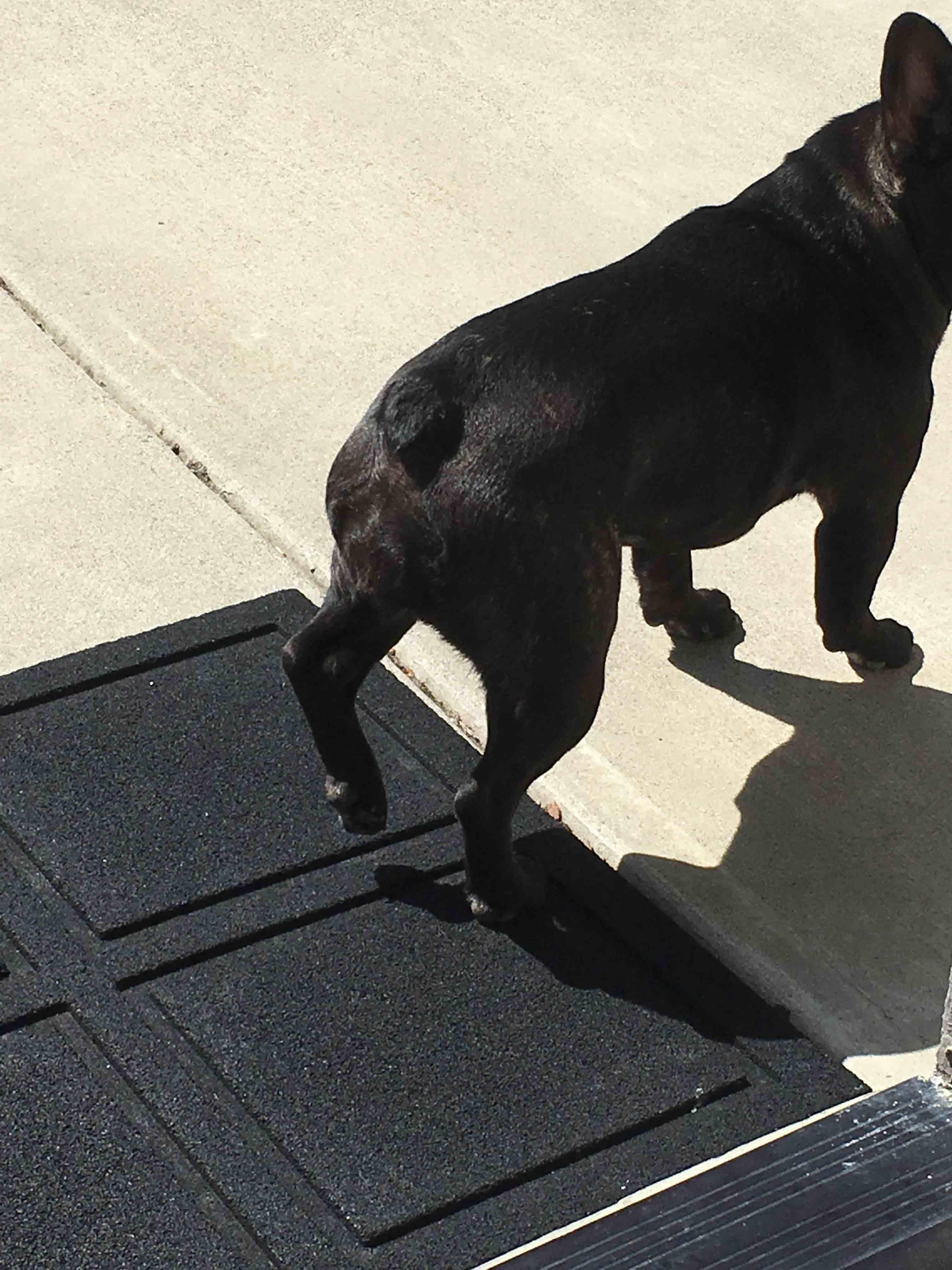 Question details sensitive content