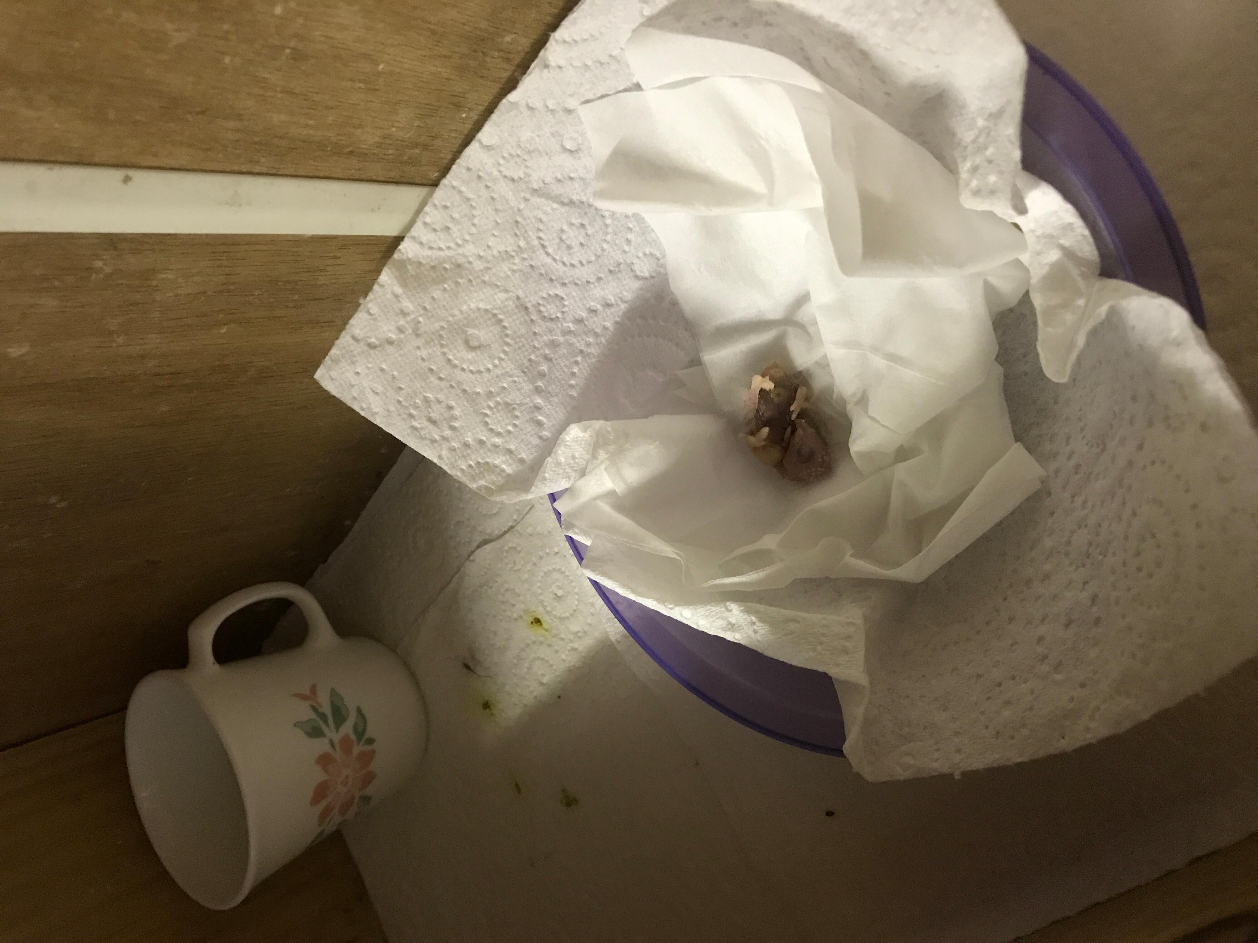 Question details sensitive content