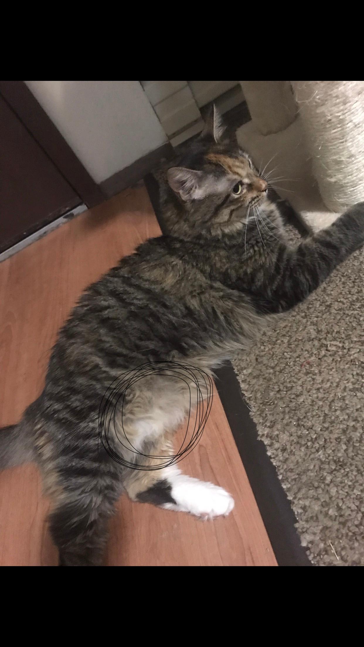 Question details sensitive content