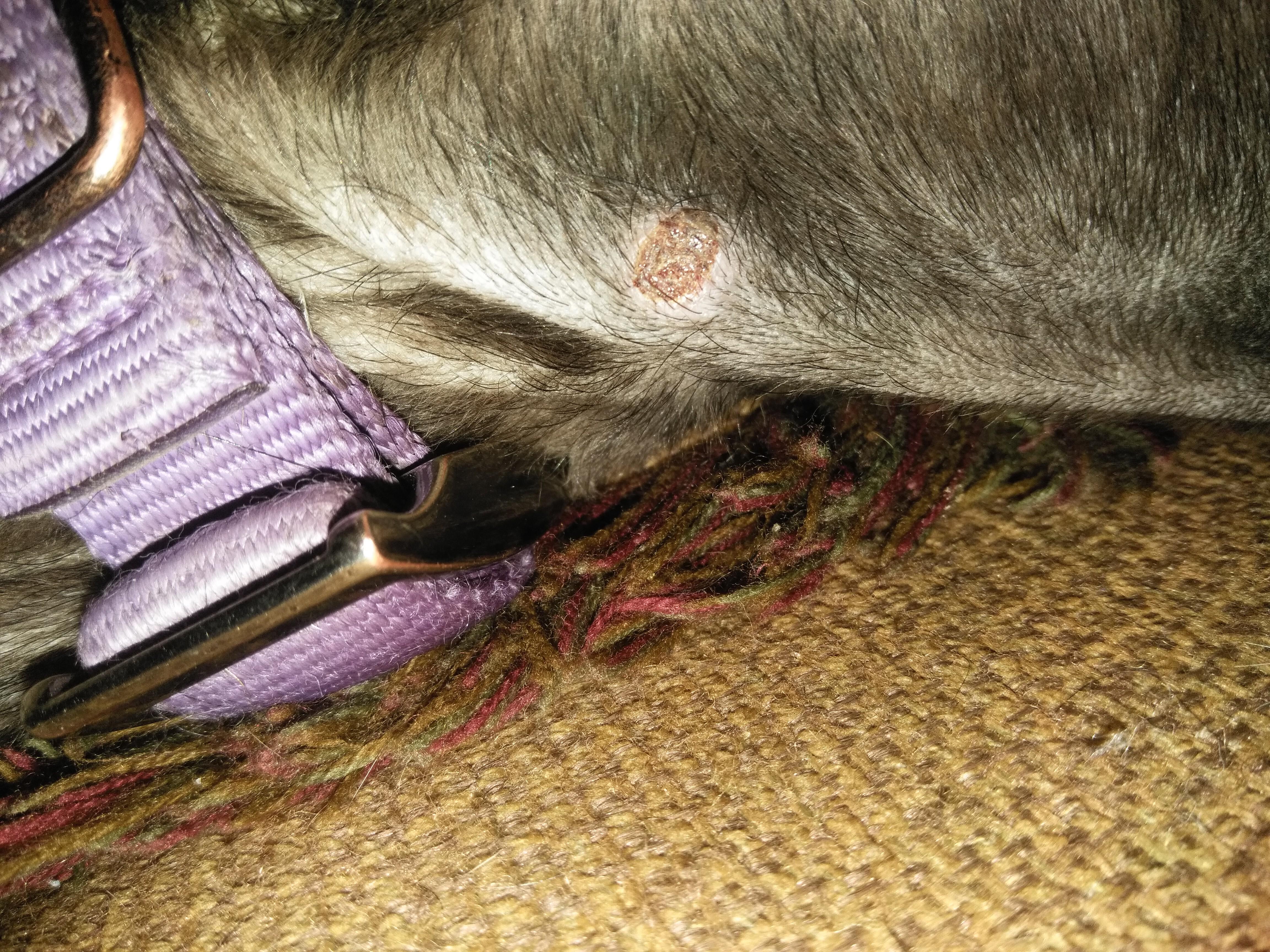 Question details sensitive content