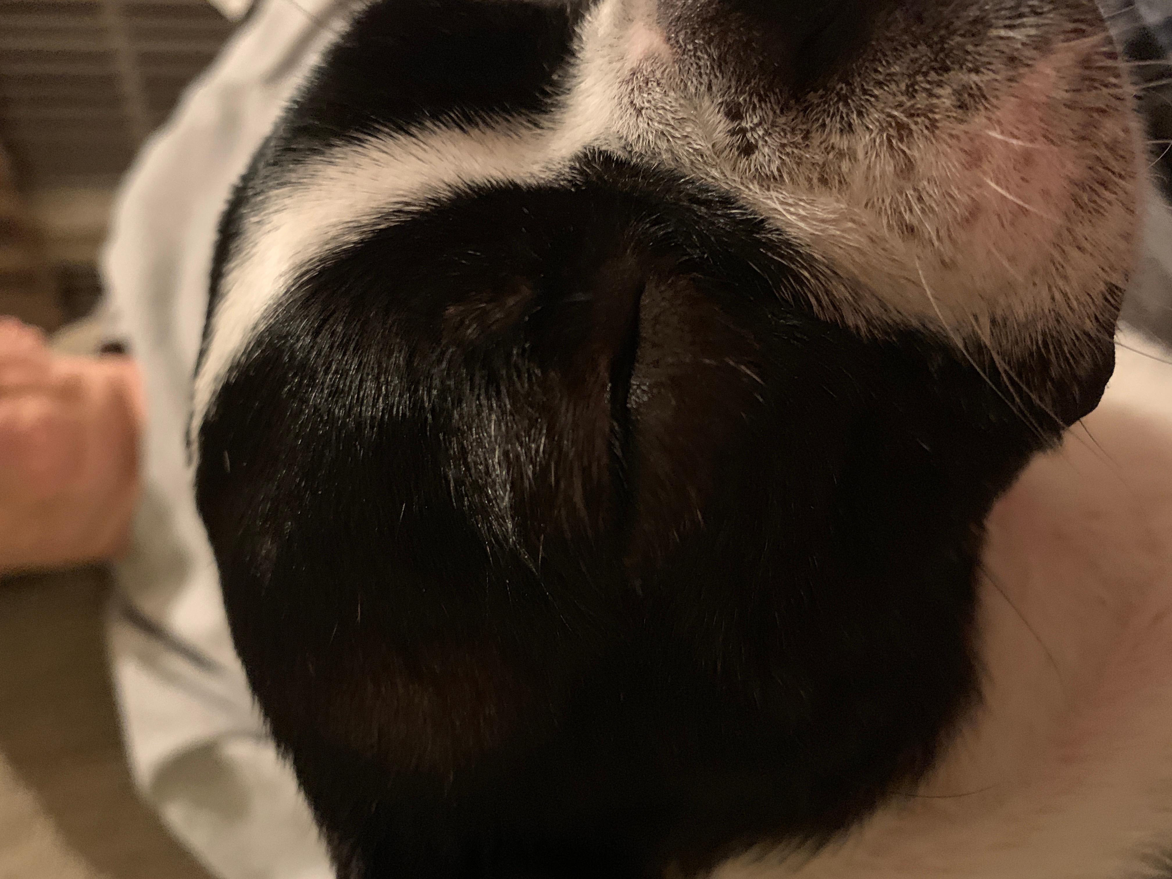 Question details sensitive content