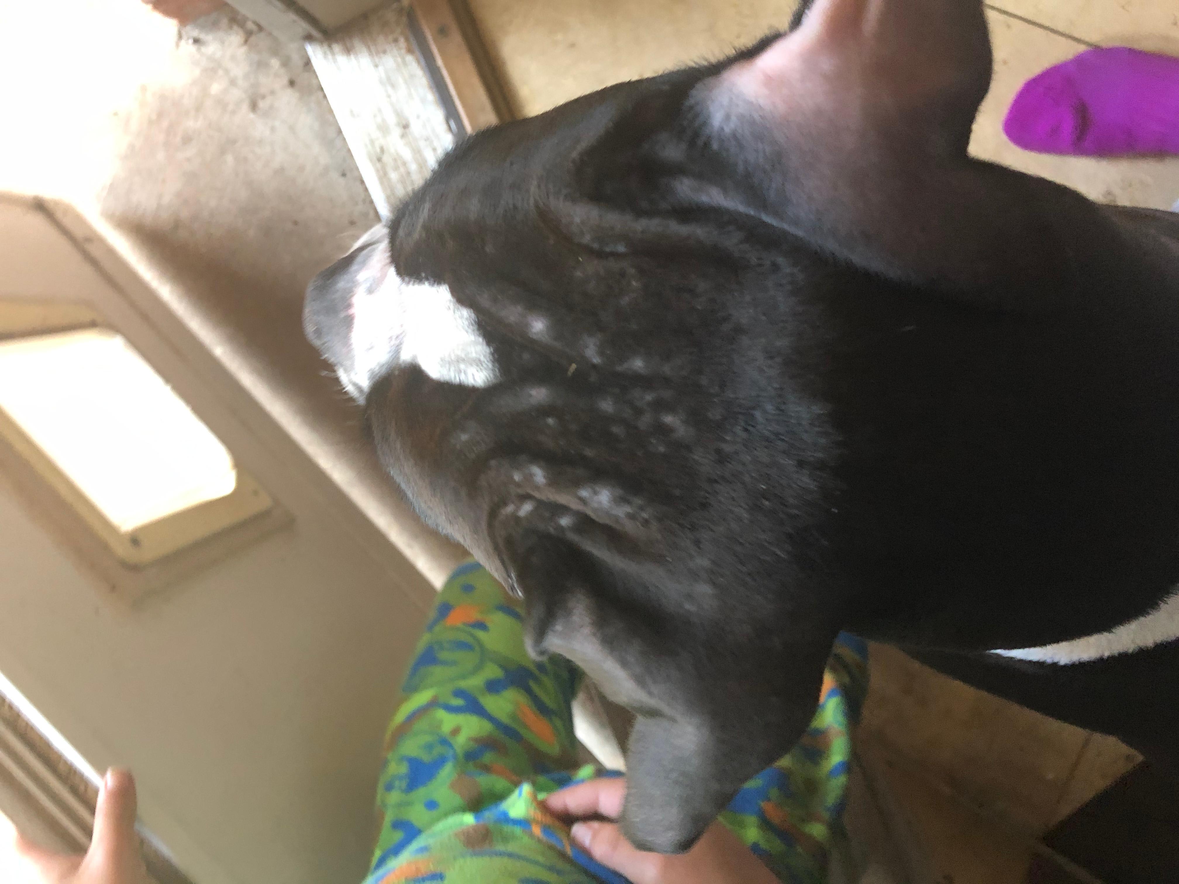 Question details sensitive content