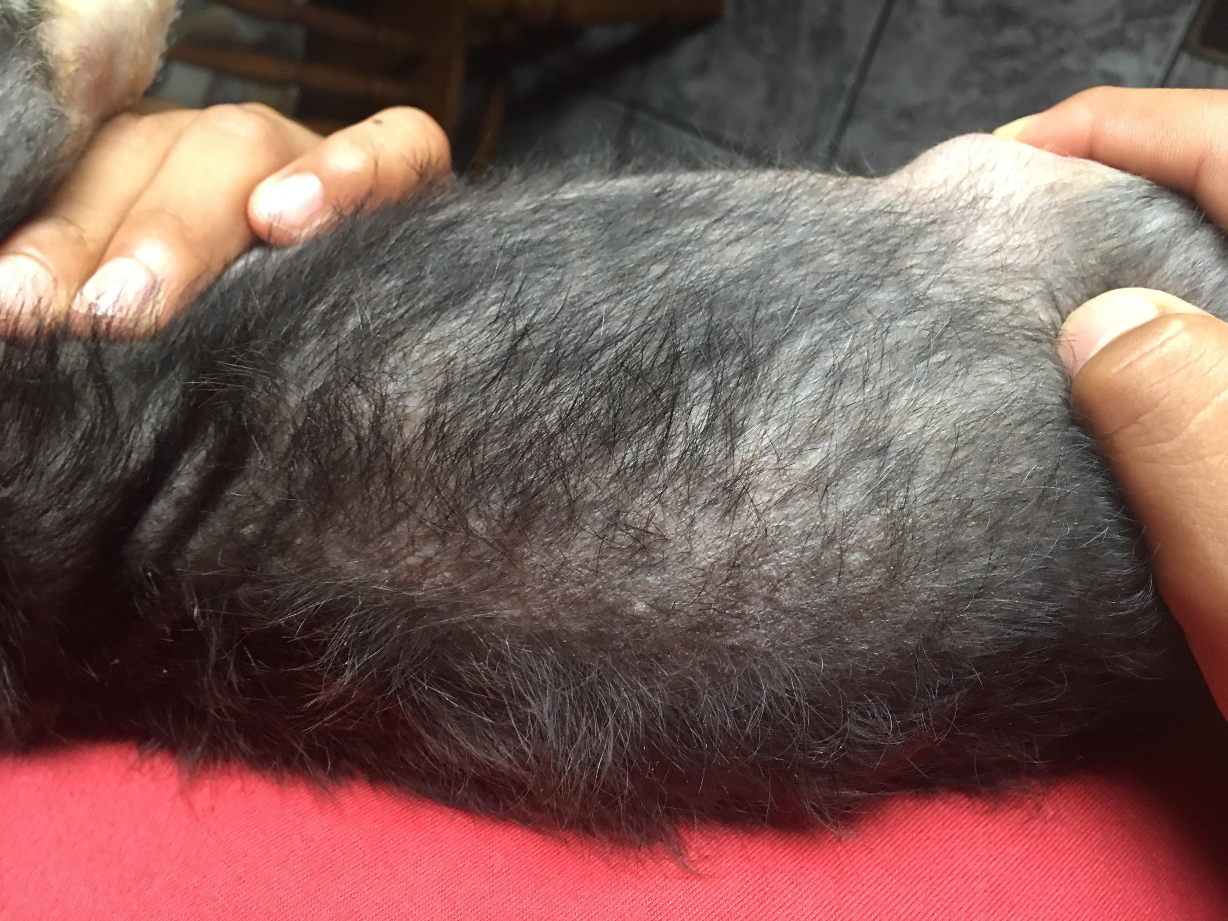 Question details sensitive content