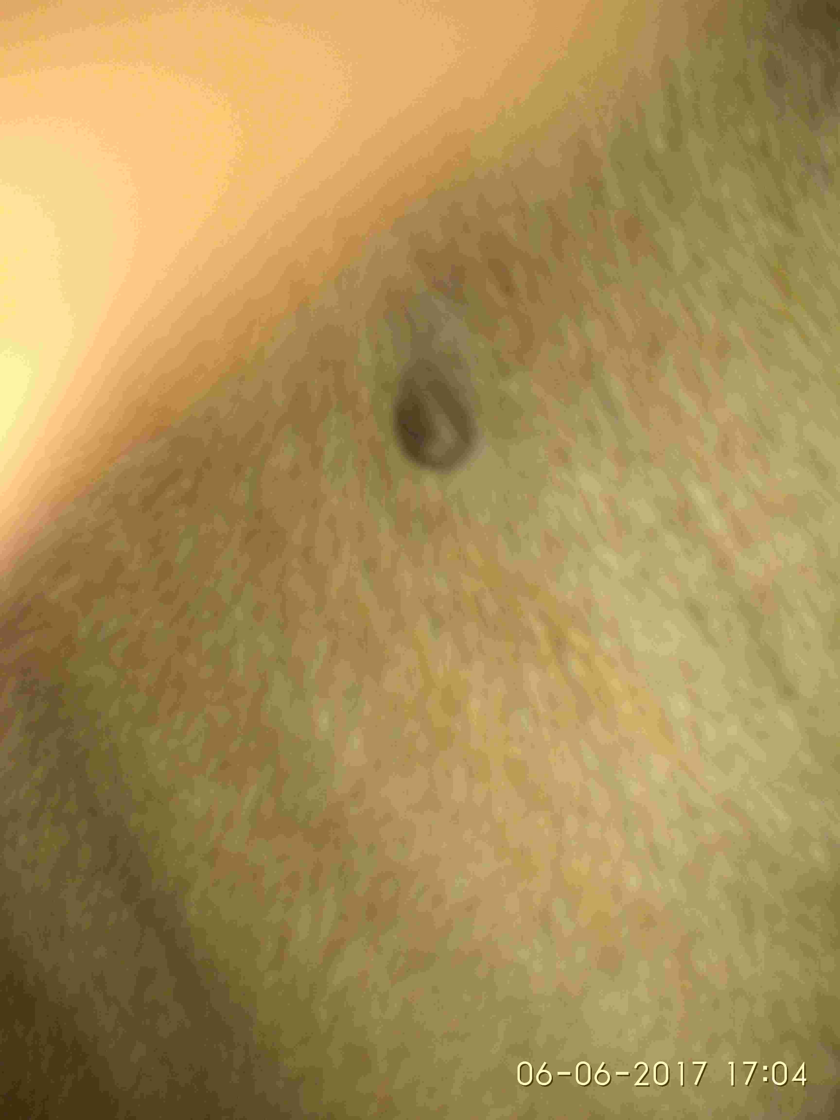 Question details sensitive content