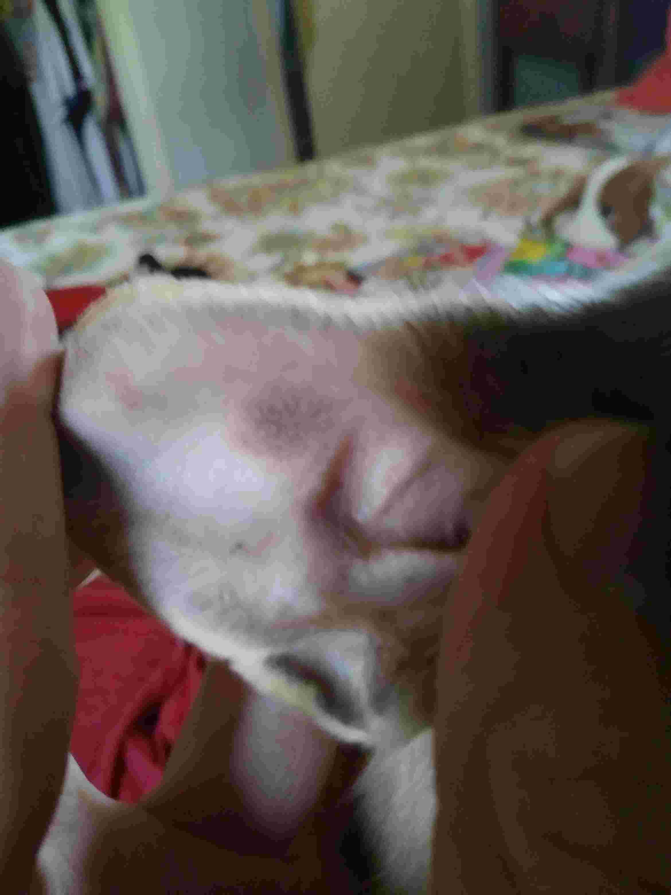 Question details sensitive content