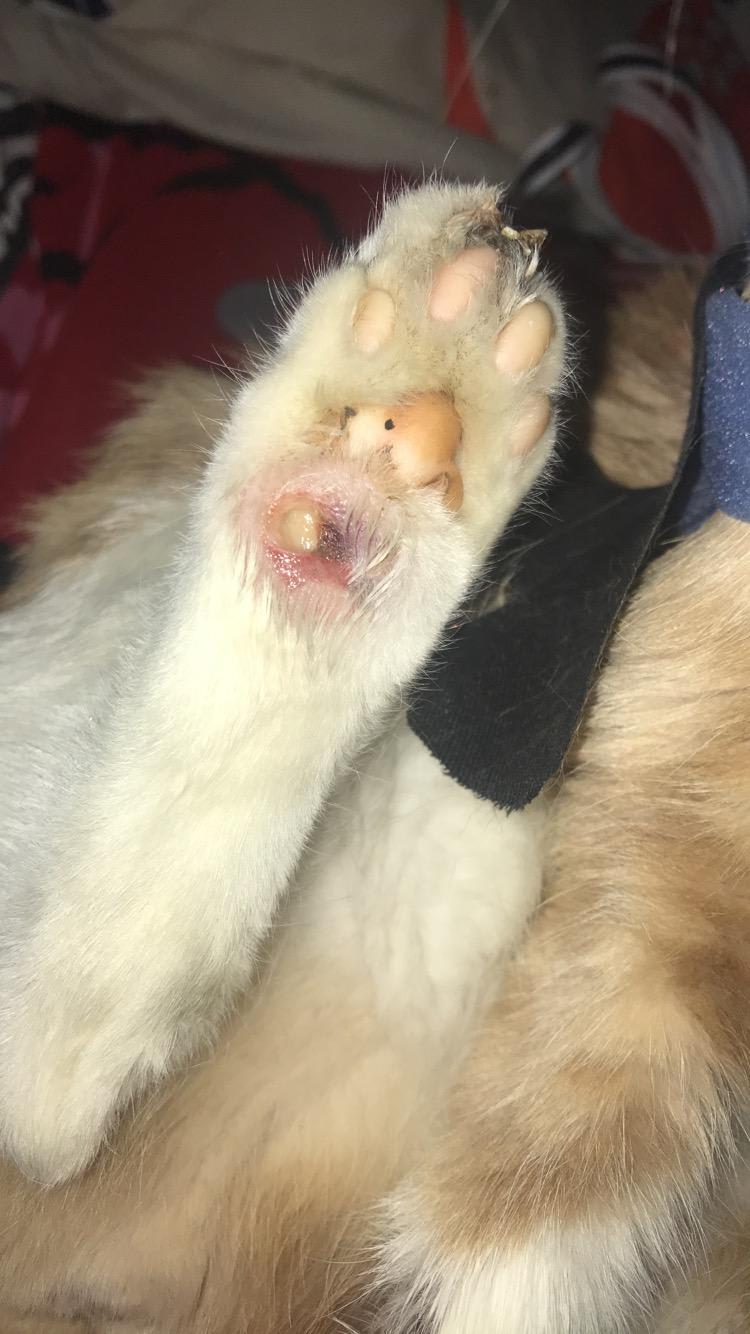 Question details sensitive content