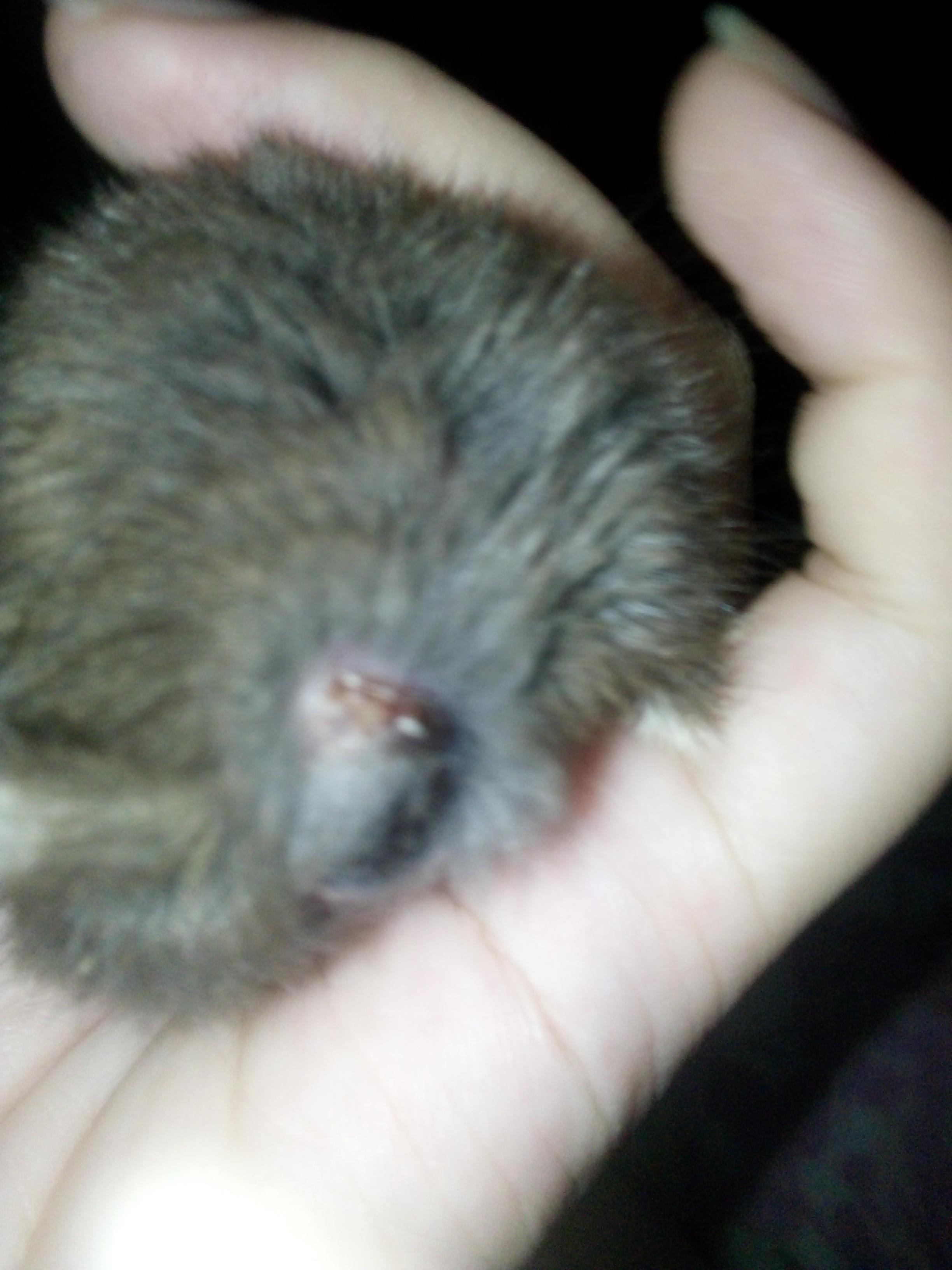 Question details sensitive content