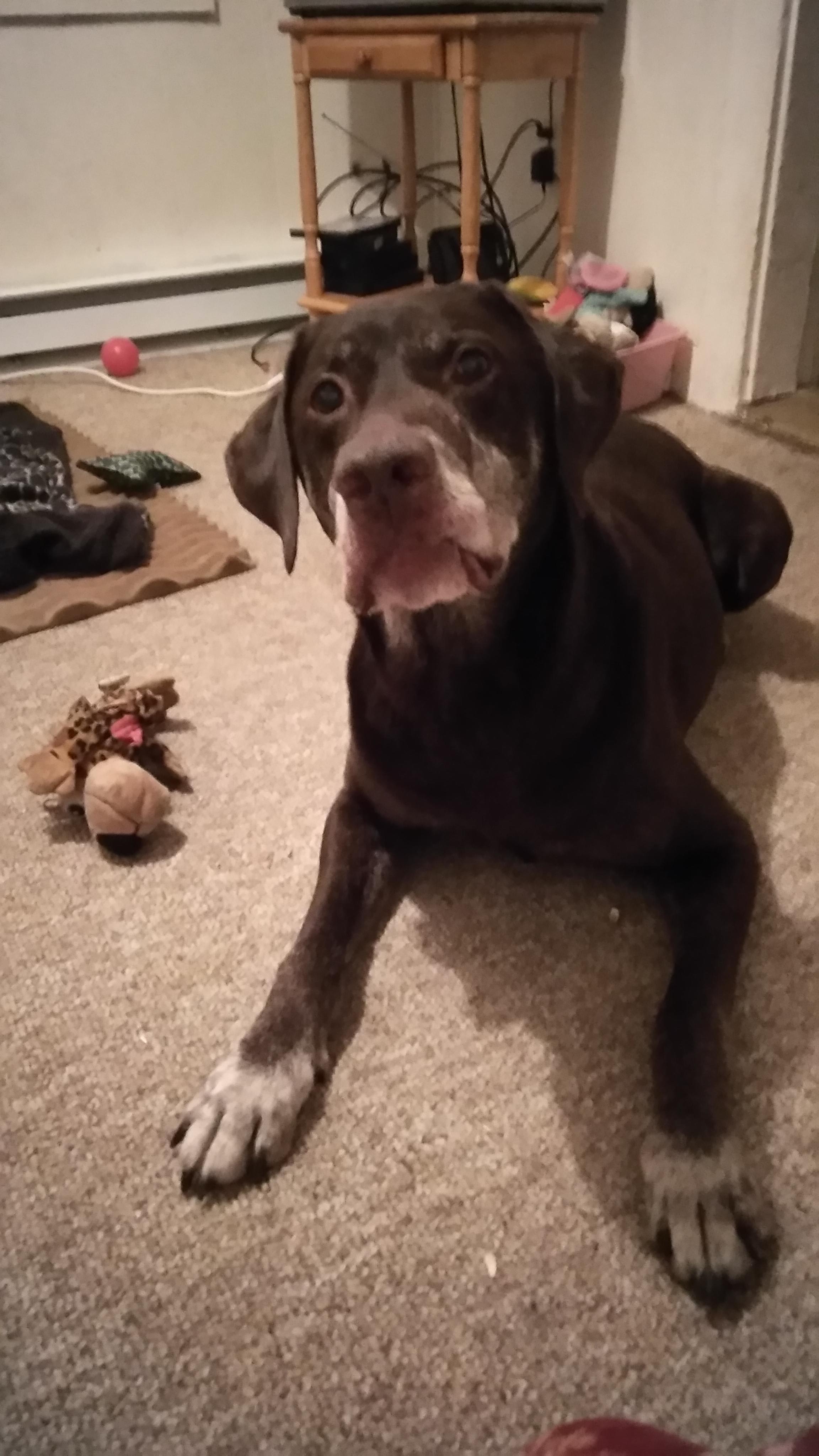 Question details sensitive content