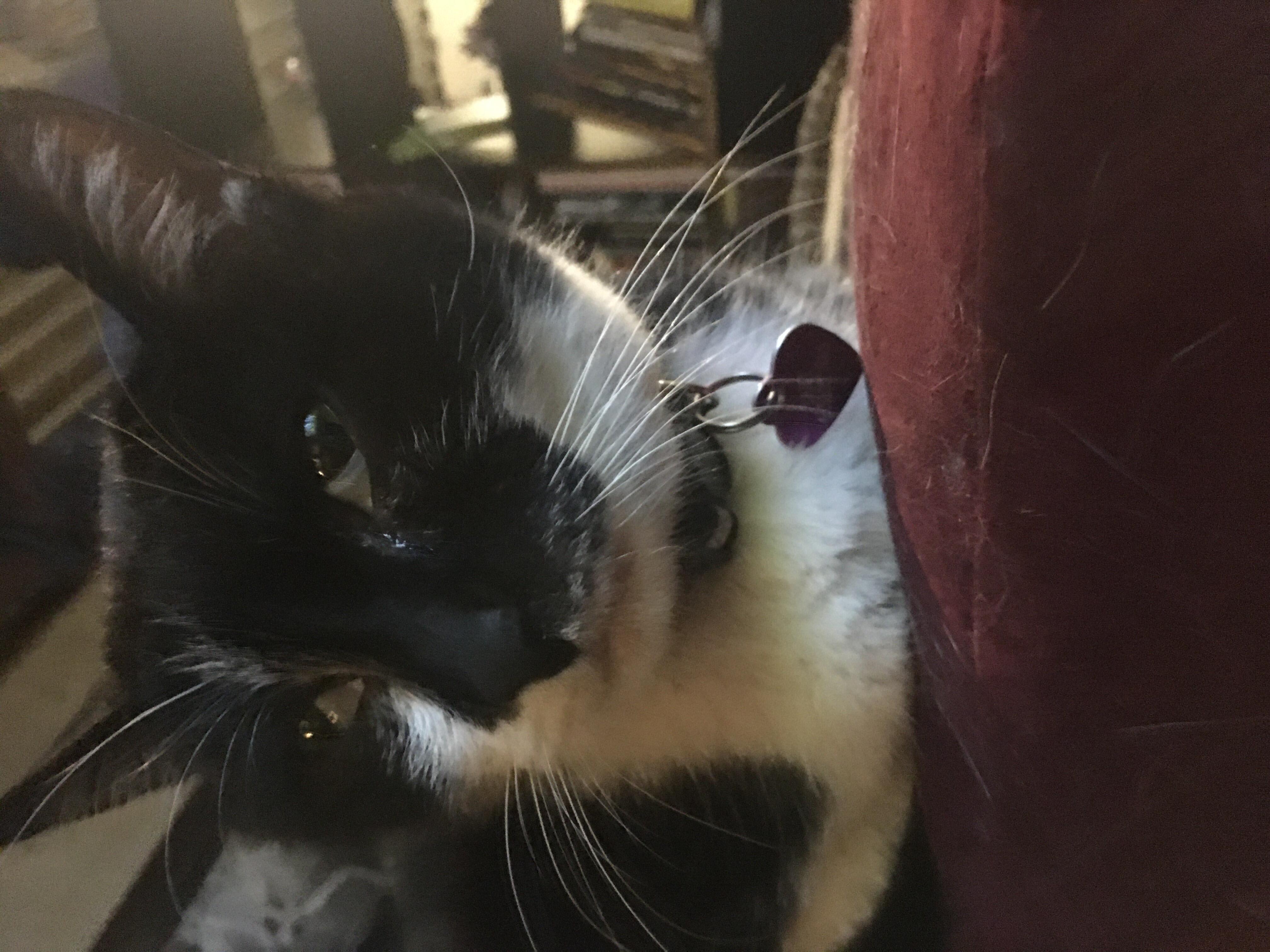 Question details sensitive content