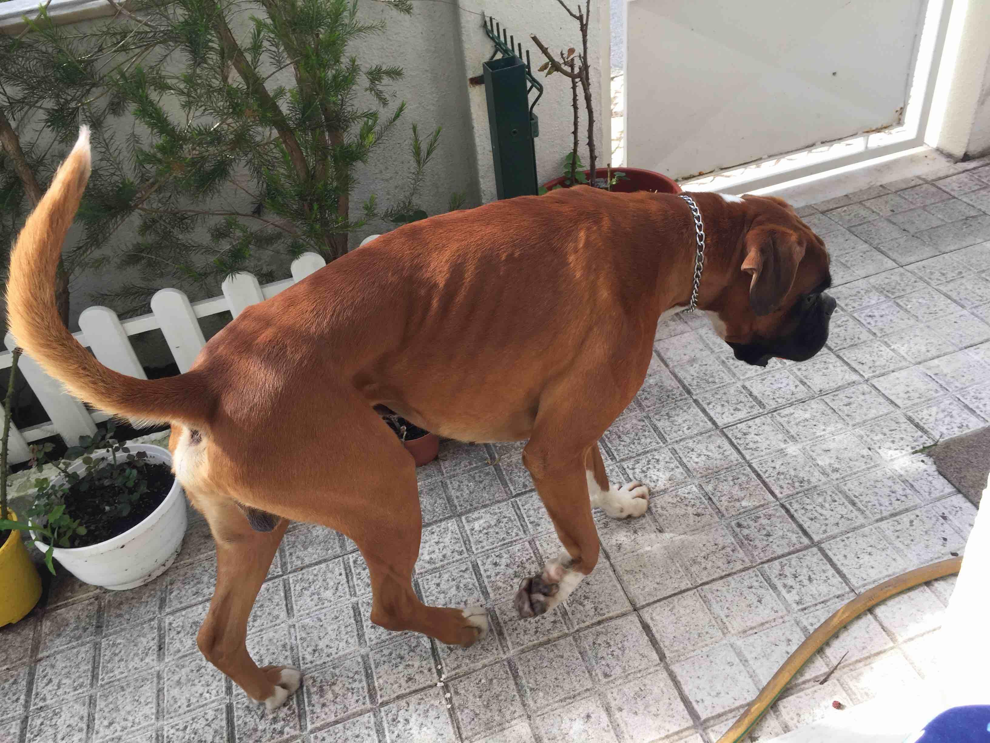 Question details sensitive content