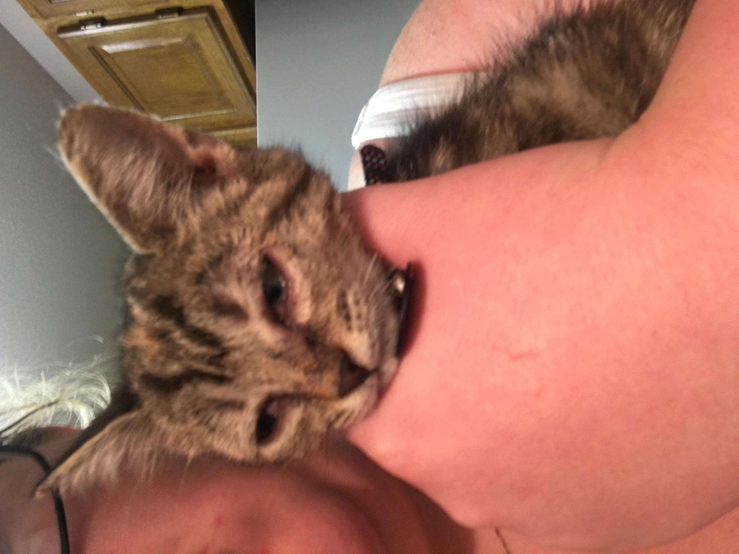 Question details sensitive content