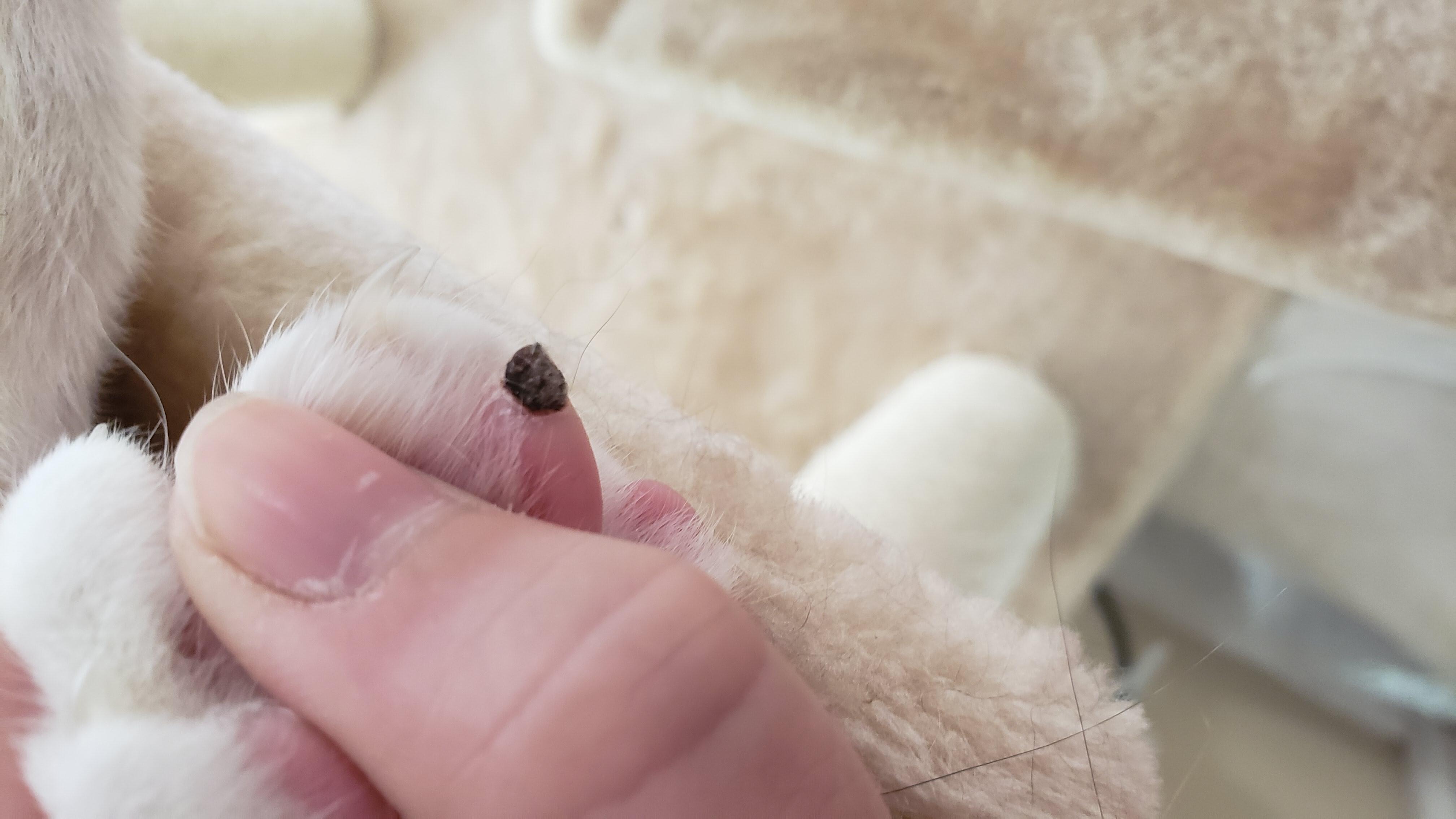 Question details sensitive content