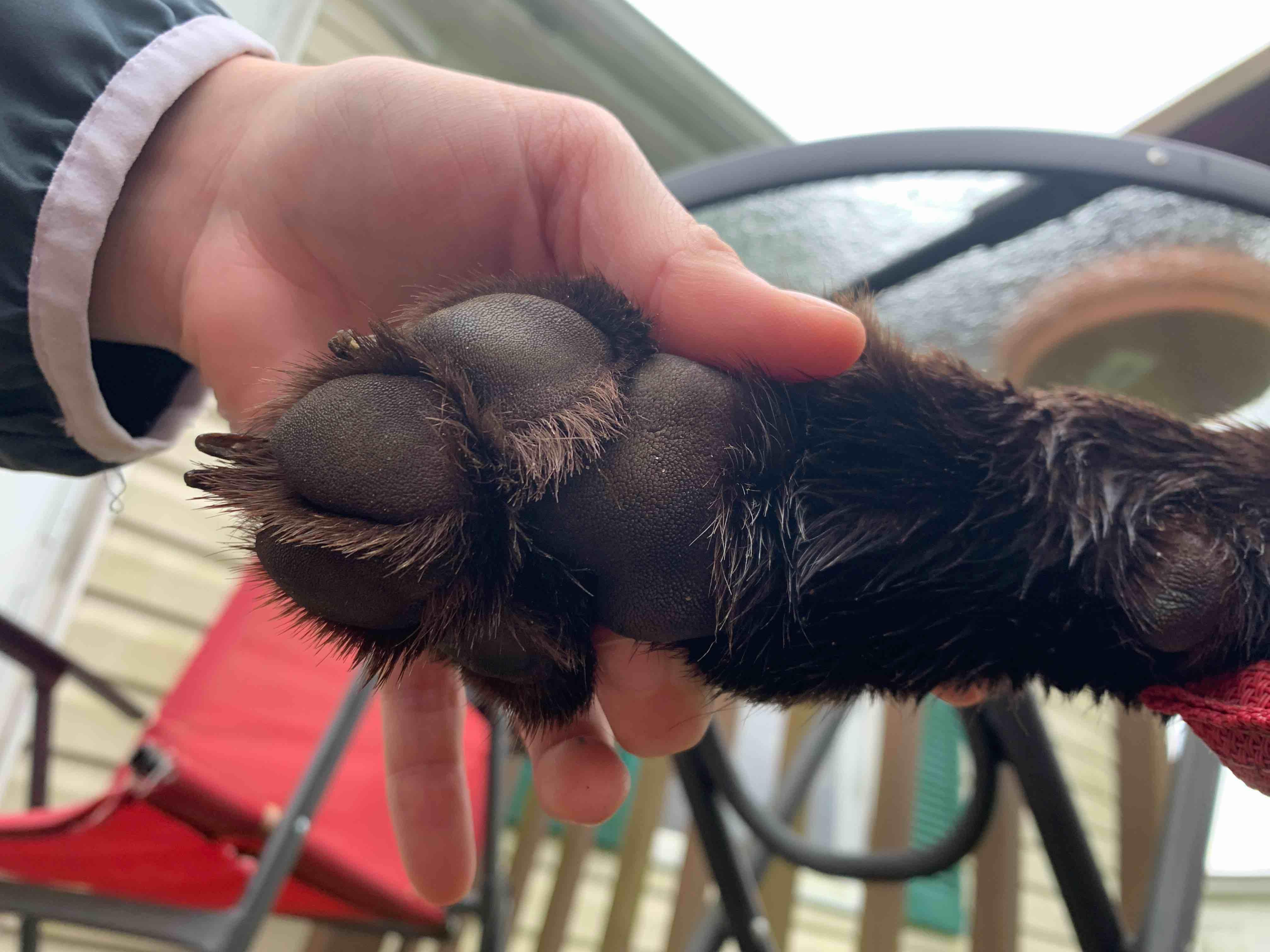 Question details sensitive content