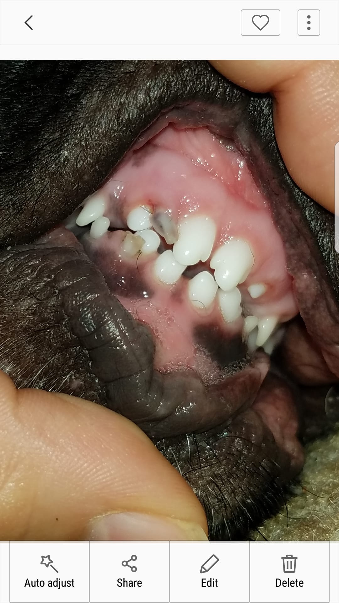 Question details sensitive content