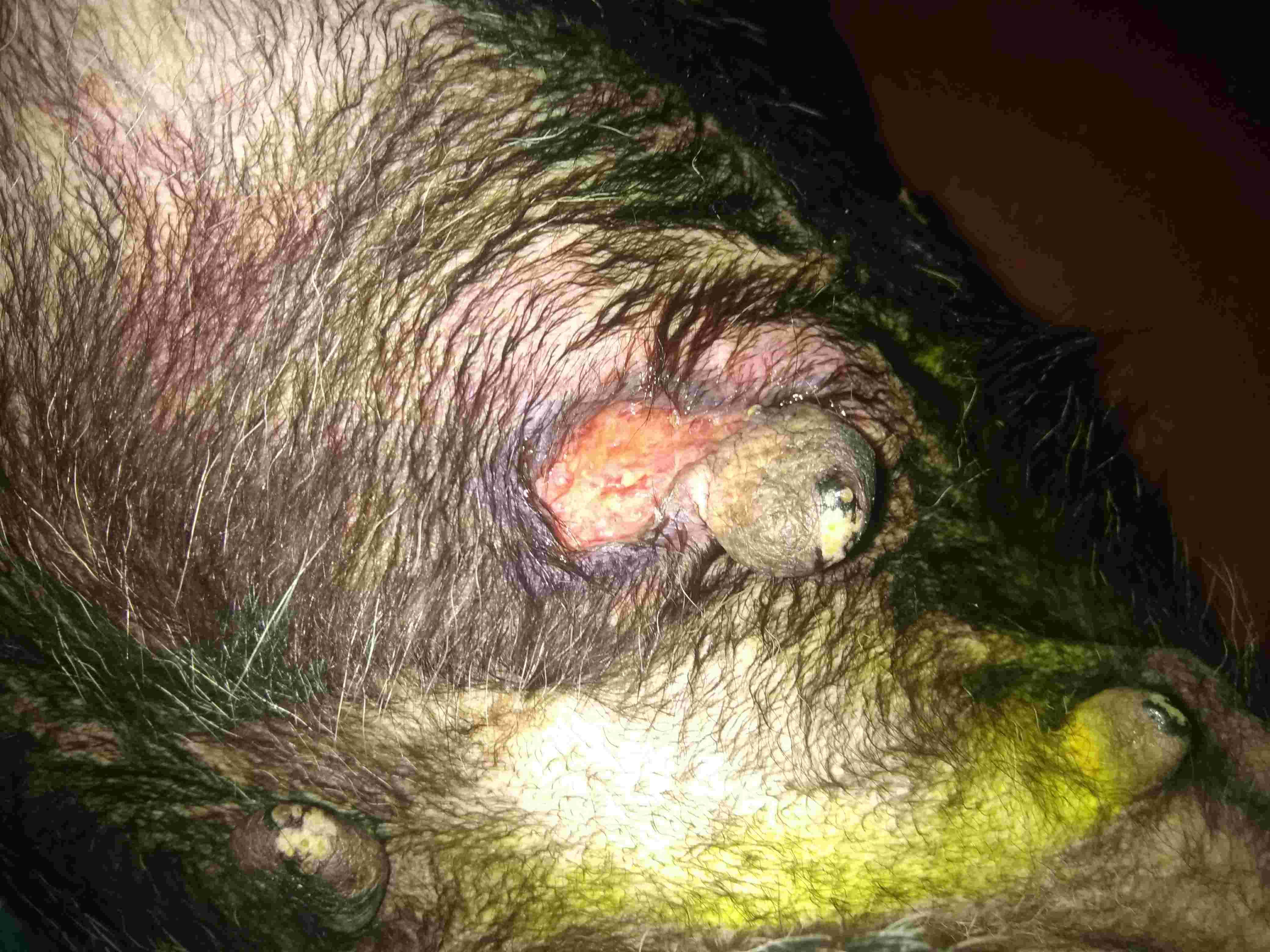 Question details sensitive content