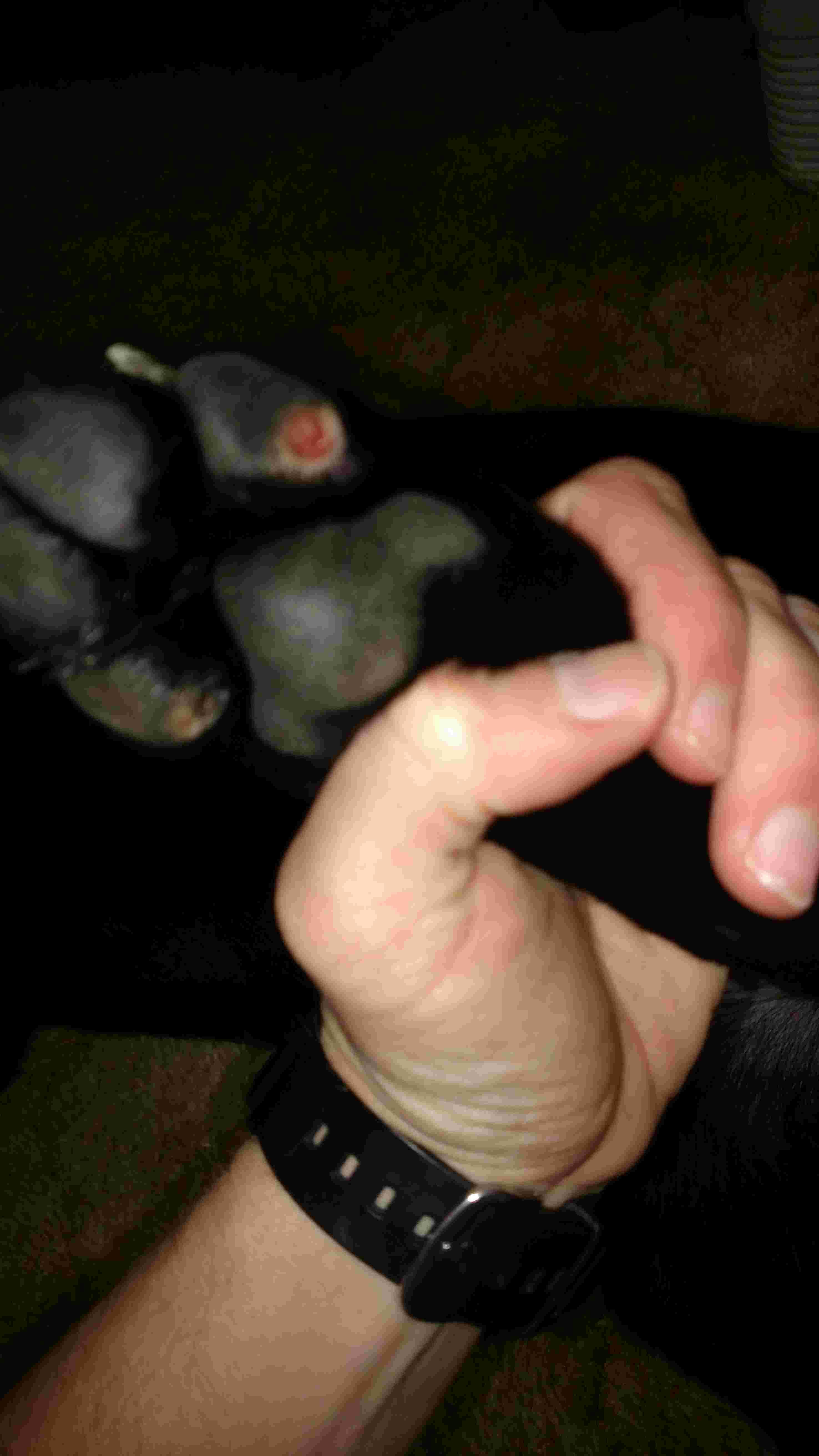 Question details sensitive content