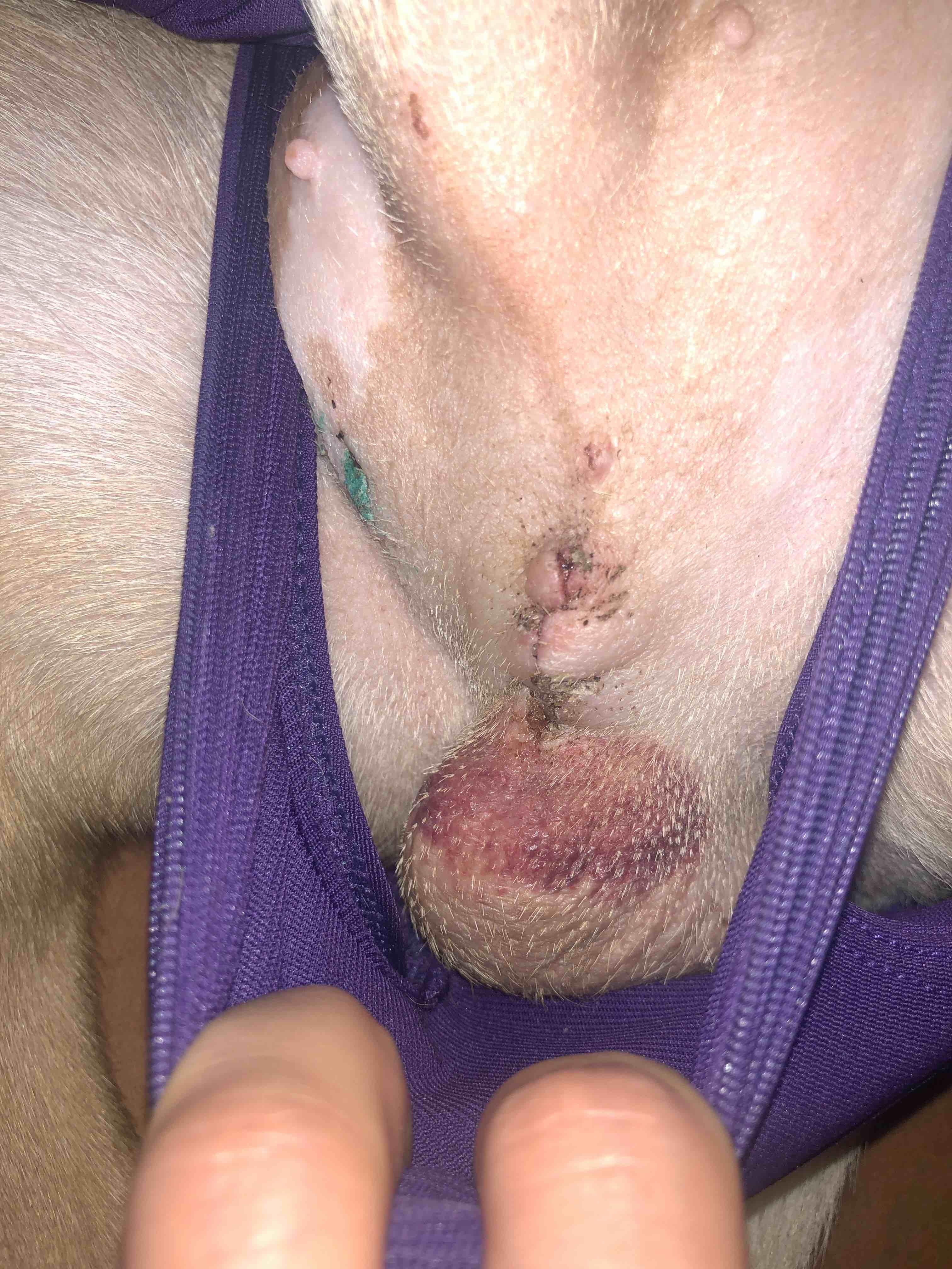 Question details sensitive content