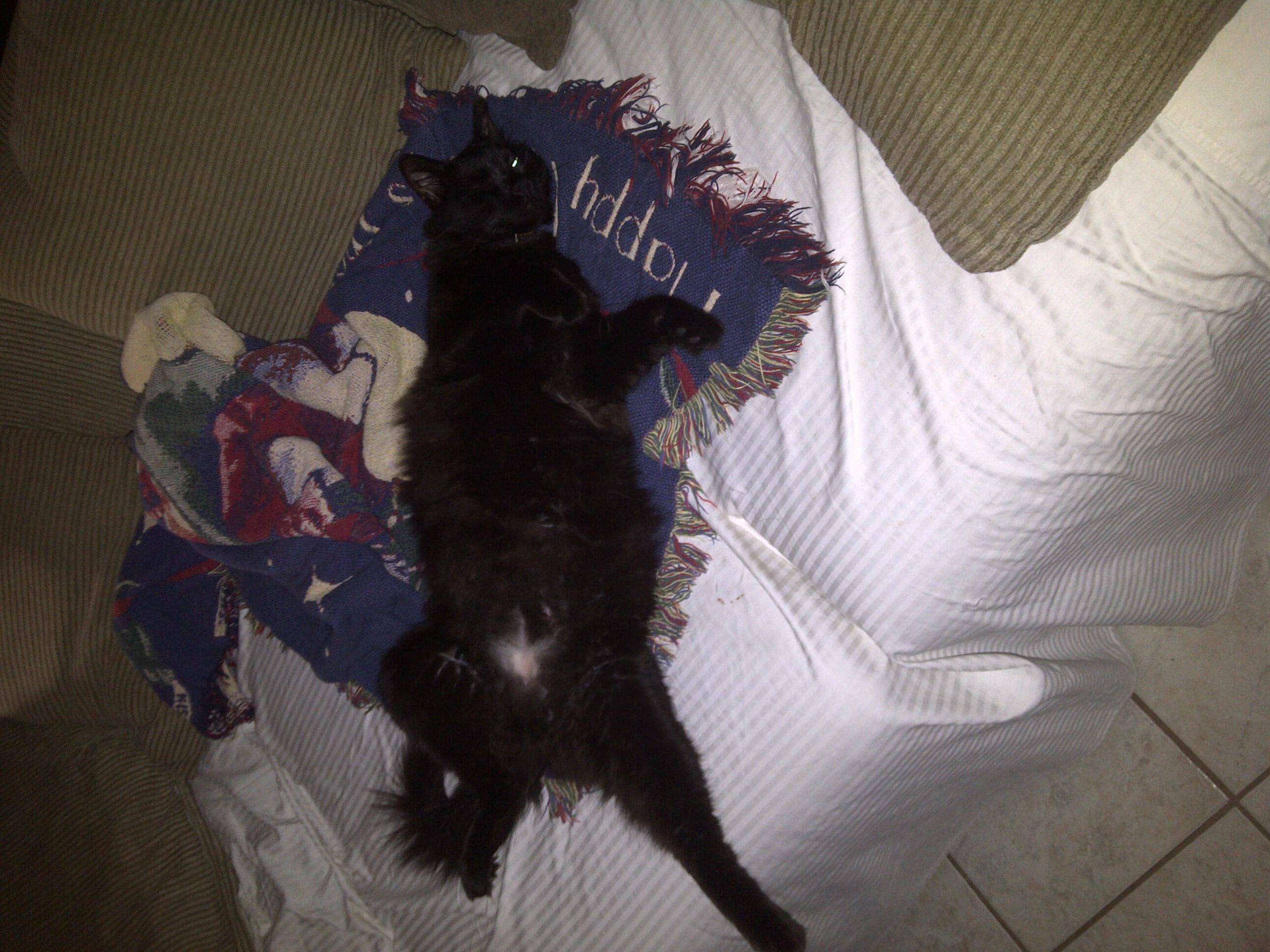 Question details sensitive content