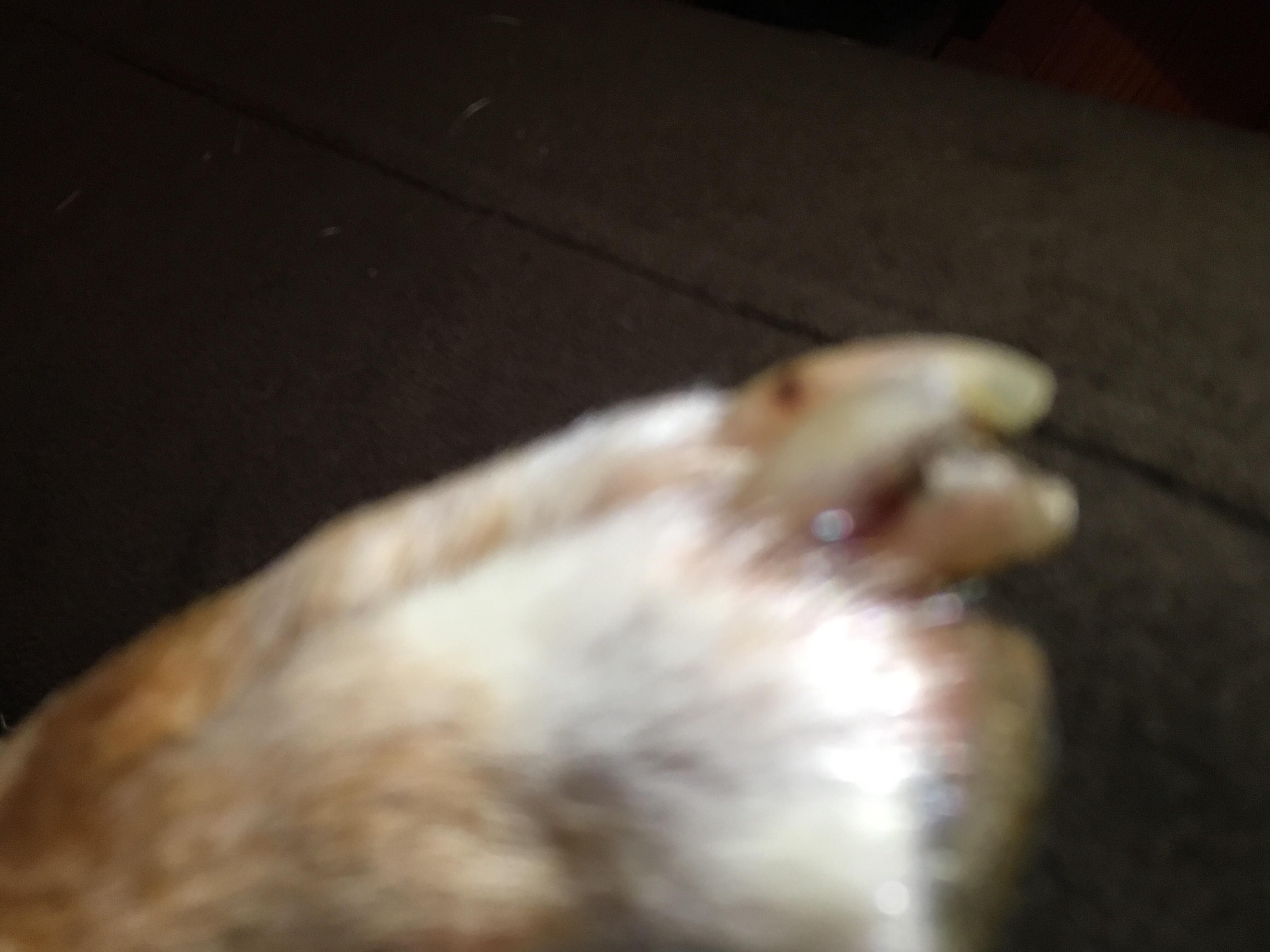 Question details sensitive content