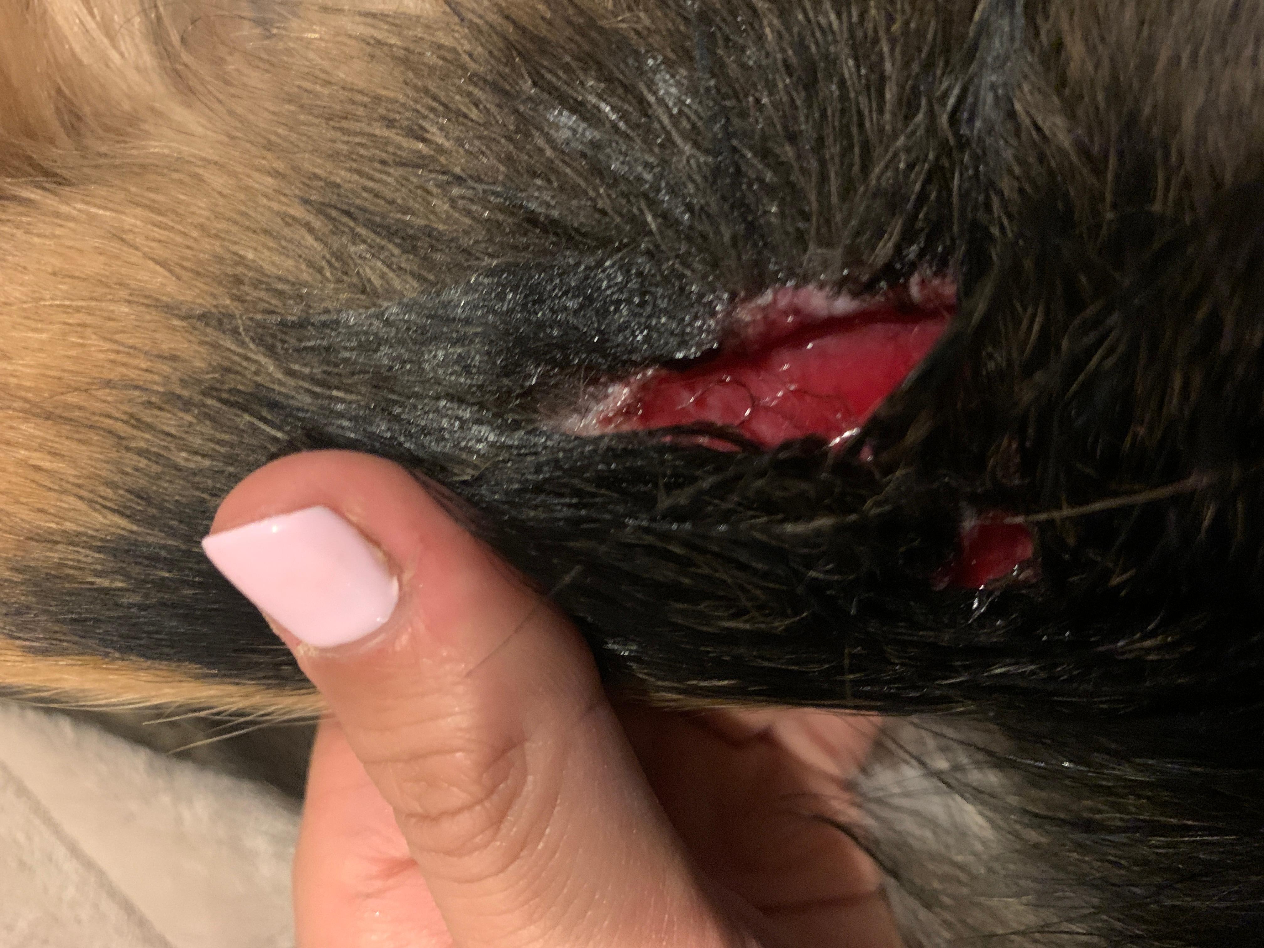 Question details sensitive content