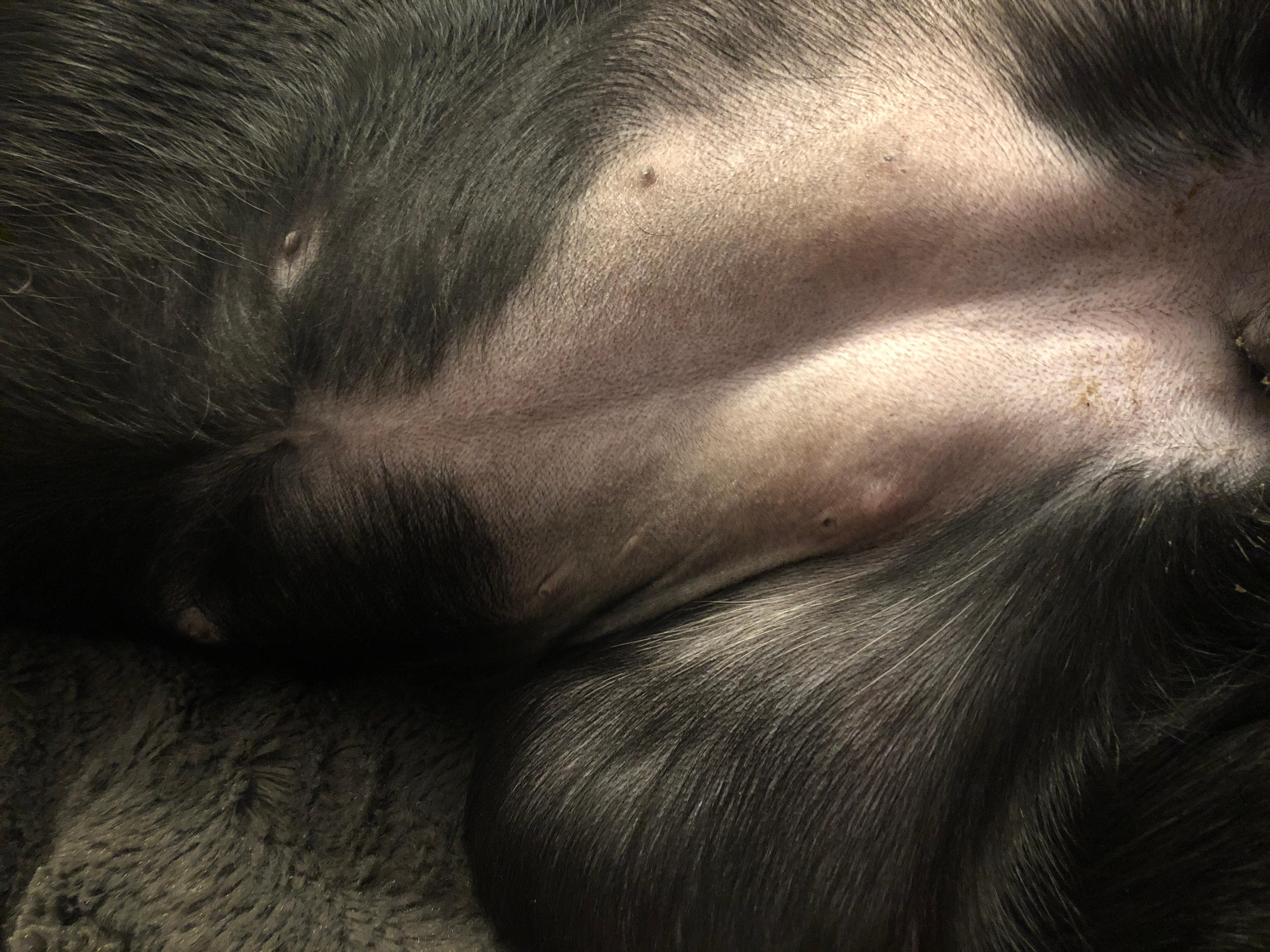 Question details sensitive content