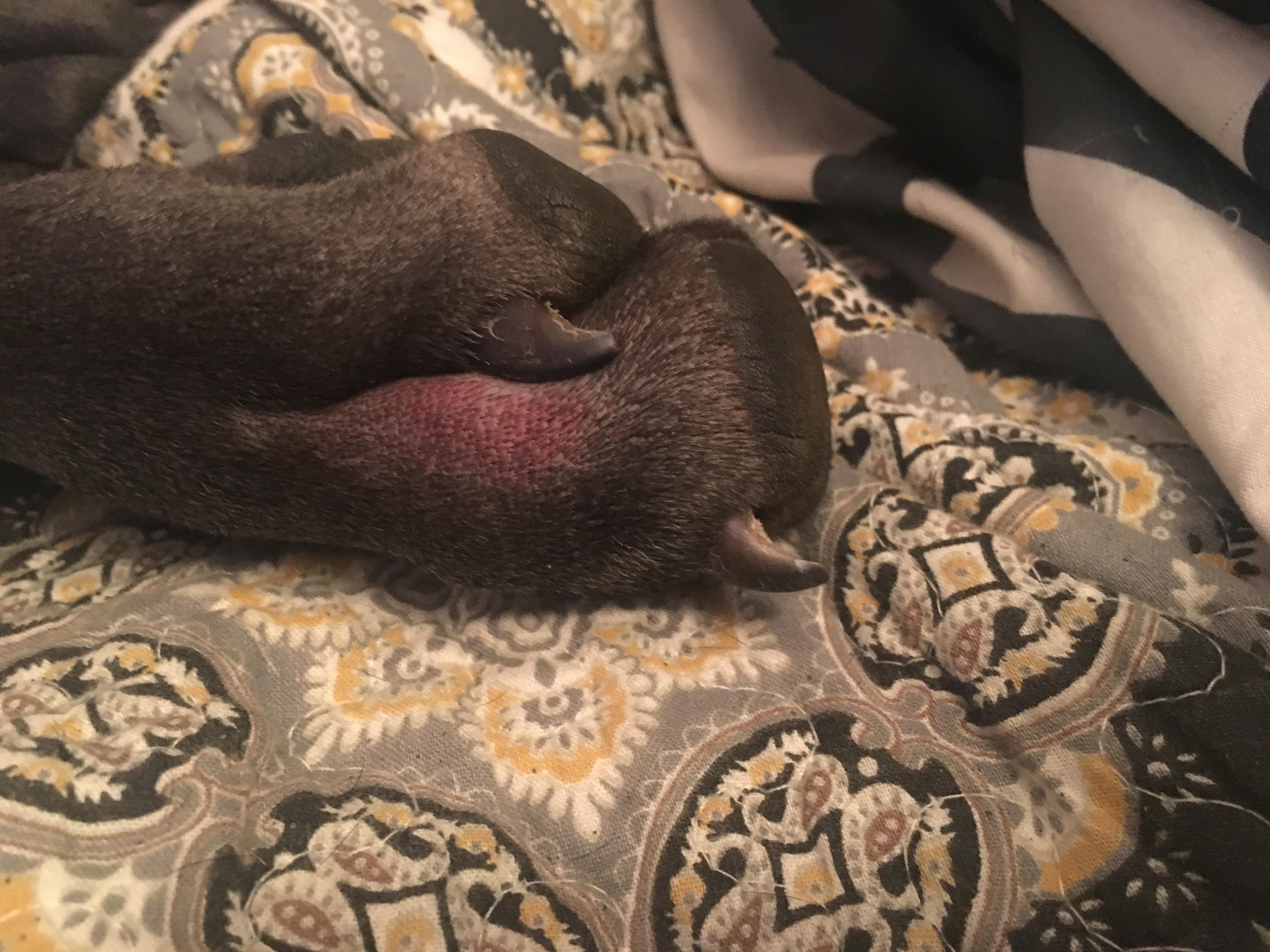 Question details sensitive content